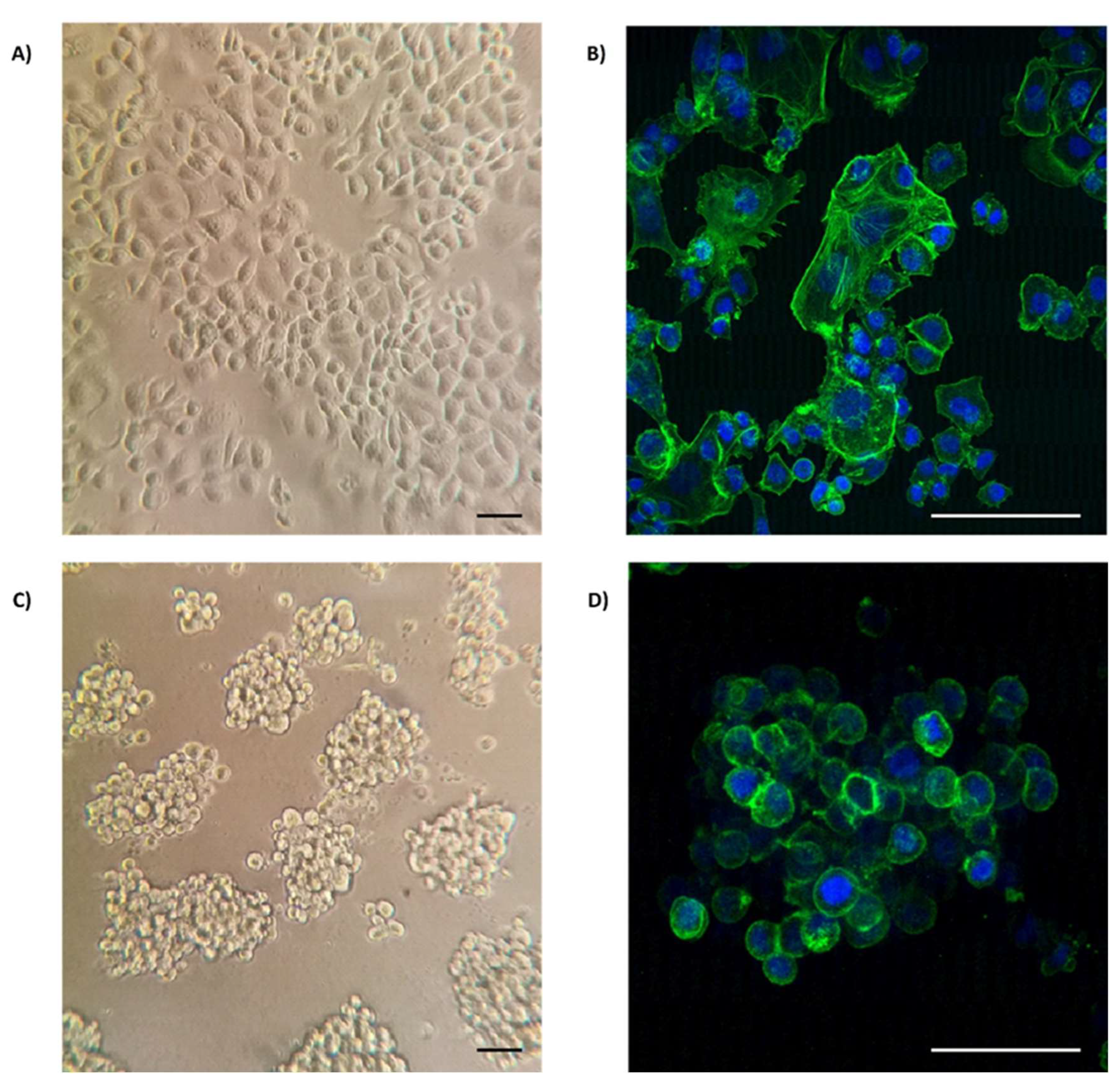 Preprints 83805 g002