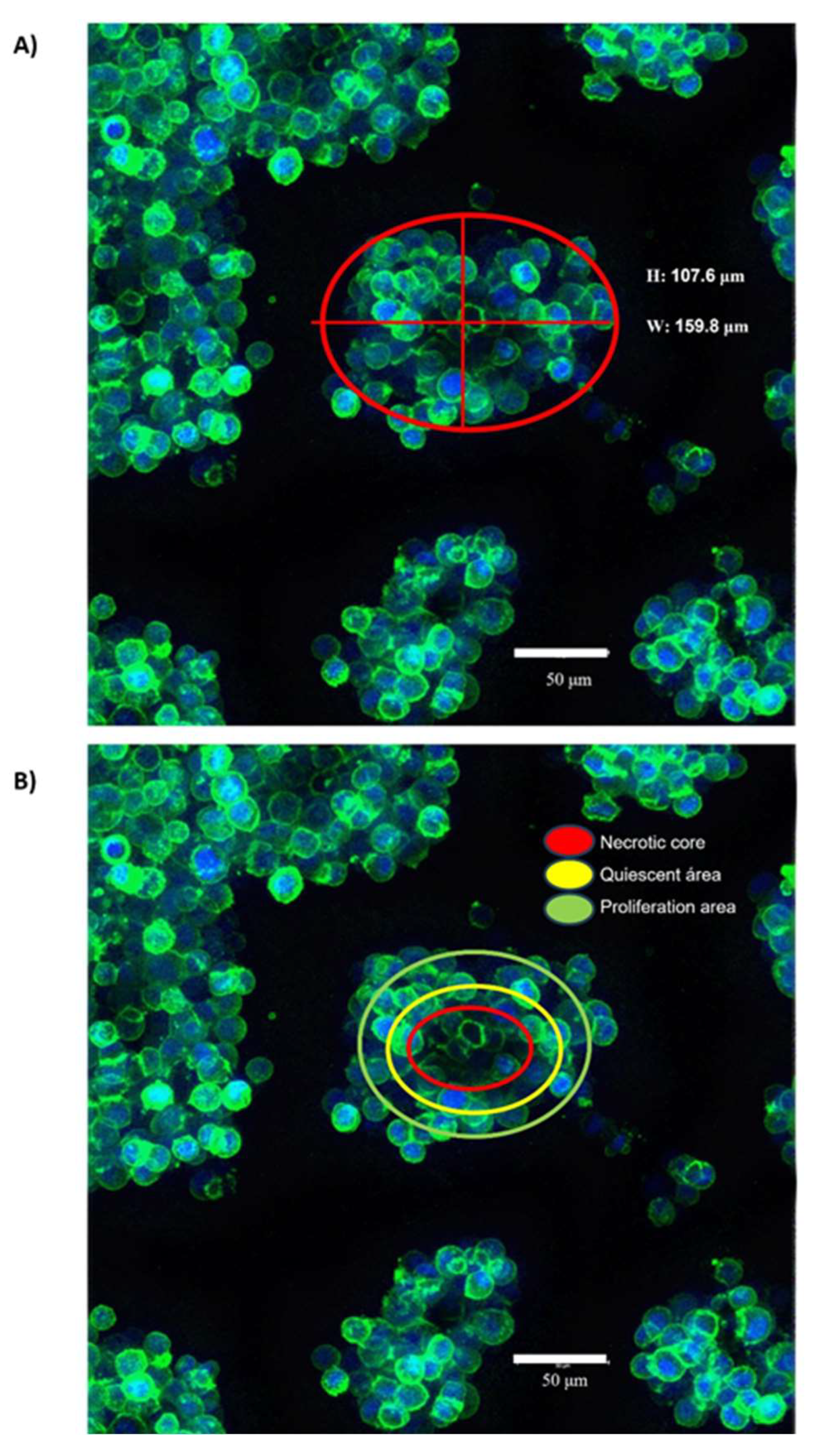 Preprints 83805 g003