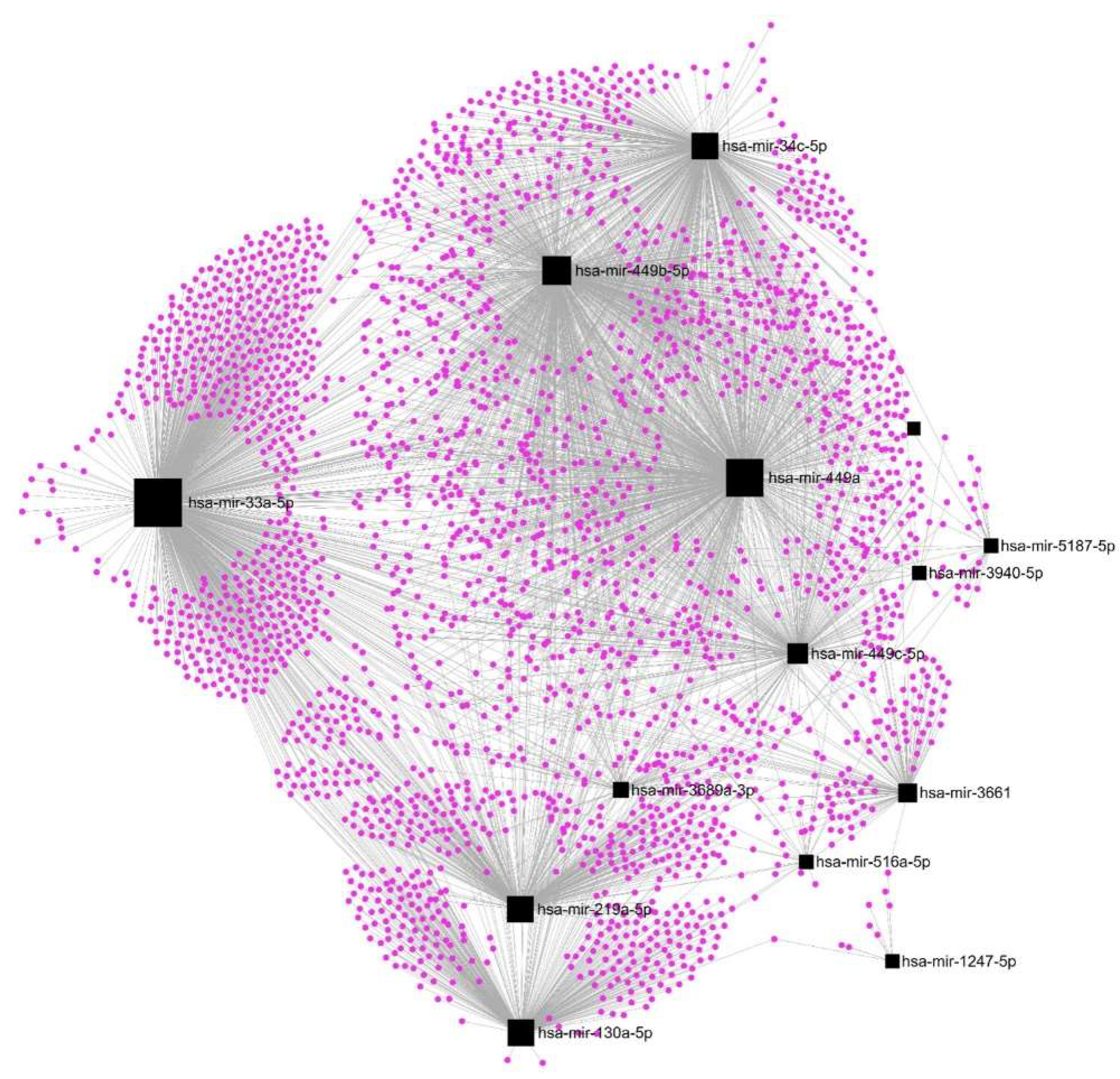 Preprints 83805 g006