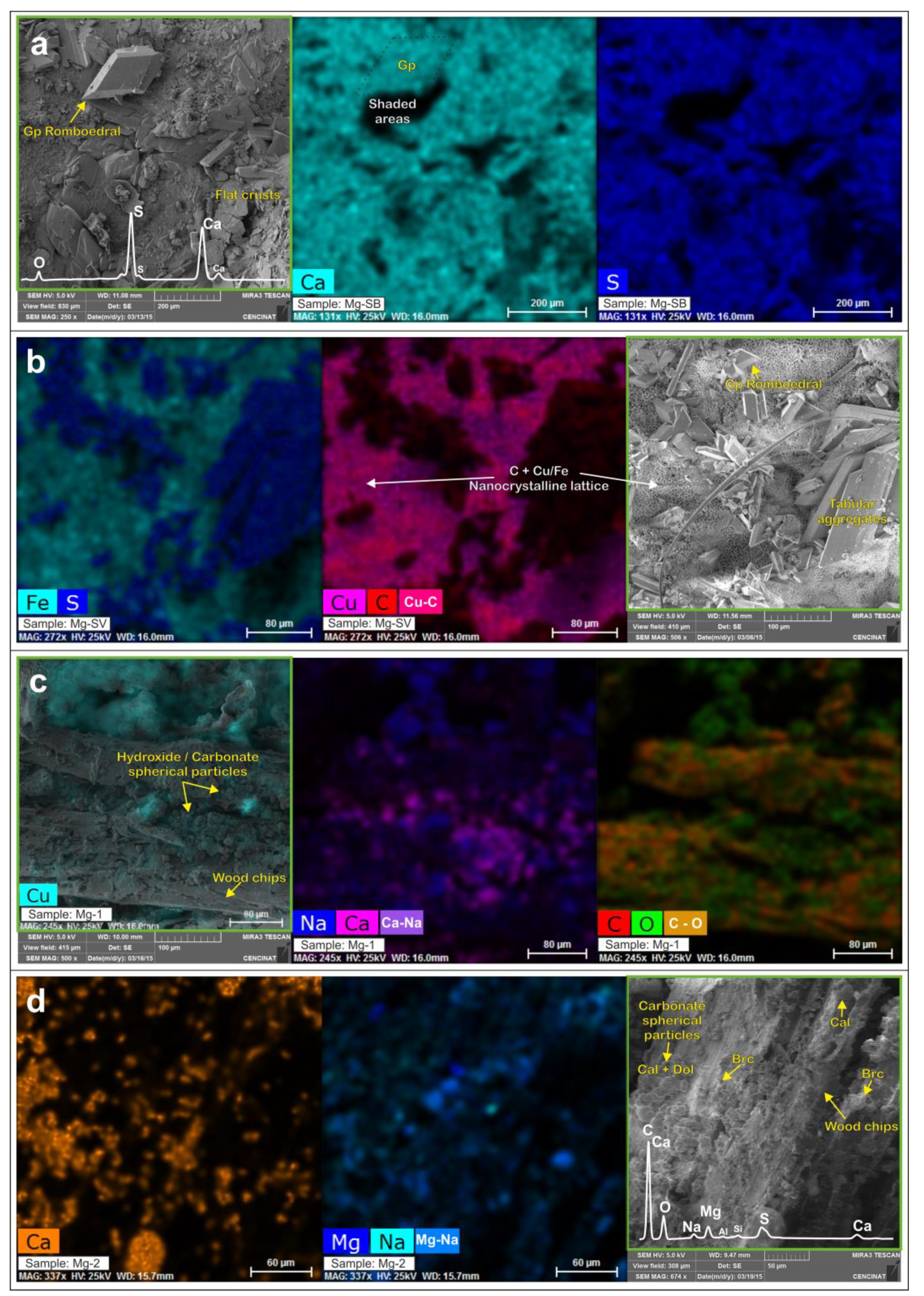 Preprints 119434 g005