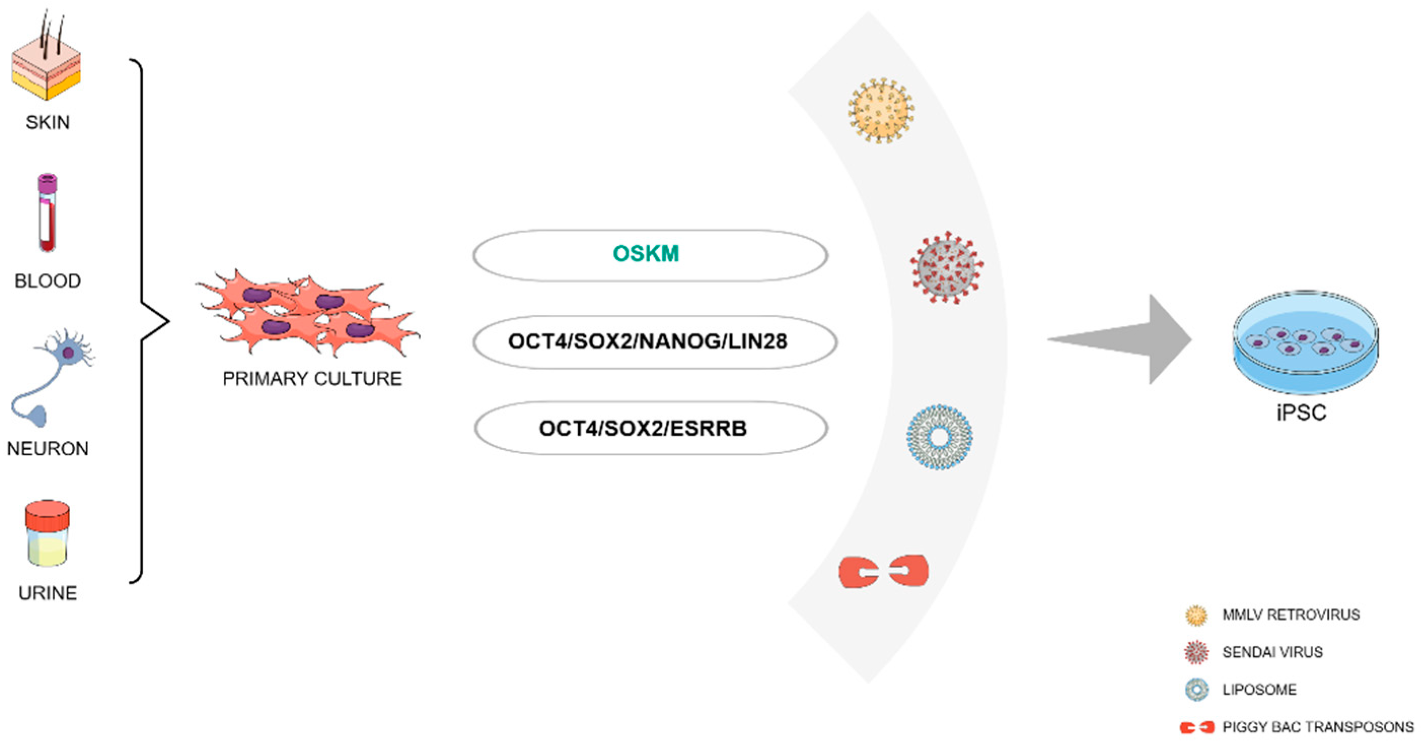 Preprints 95837 g001