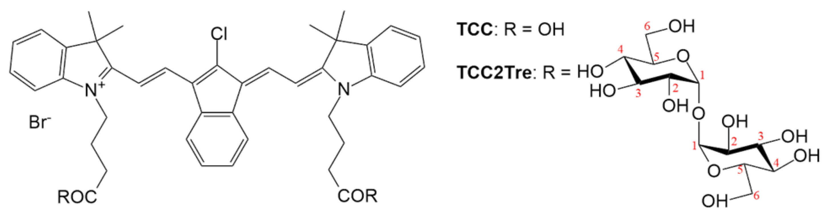 Preprints 109510 g001