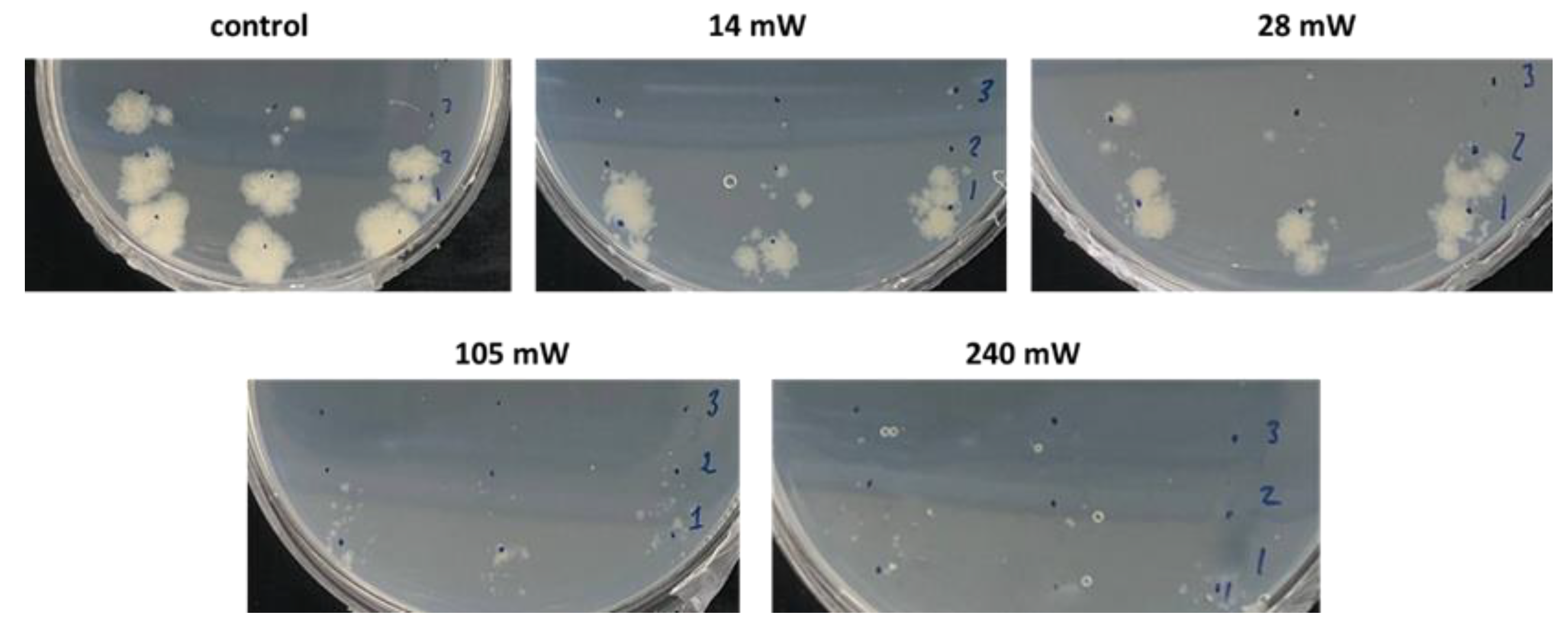 Preprints 109510 g011