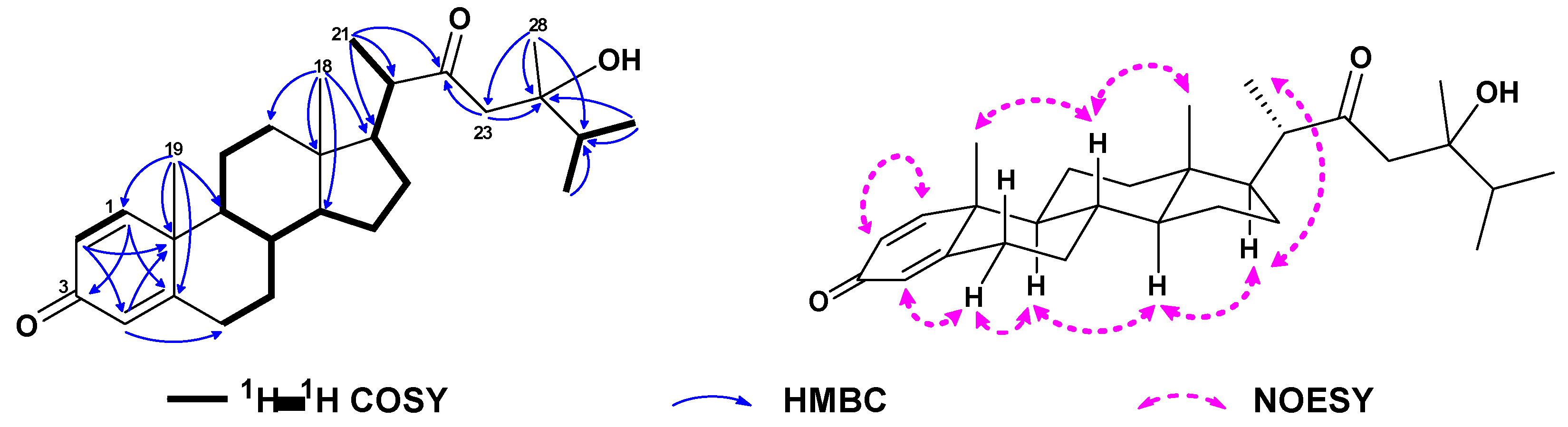 Preprints 80726 g002