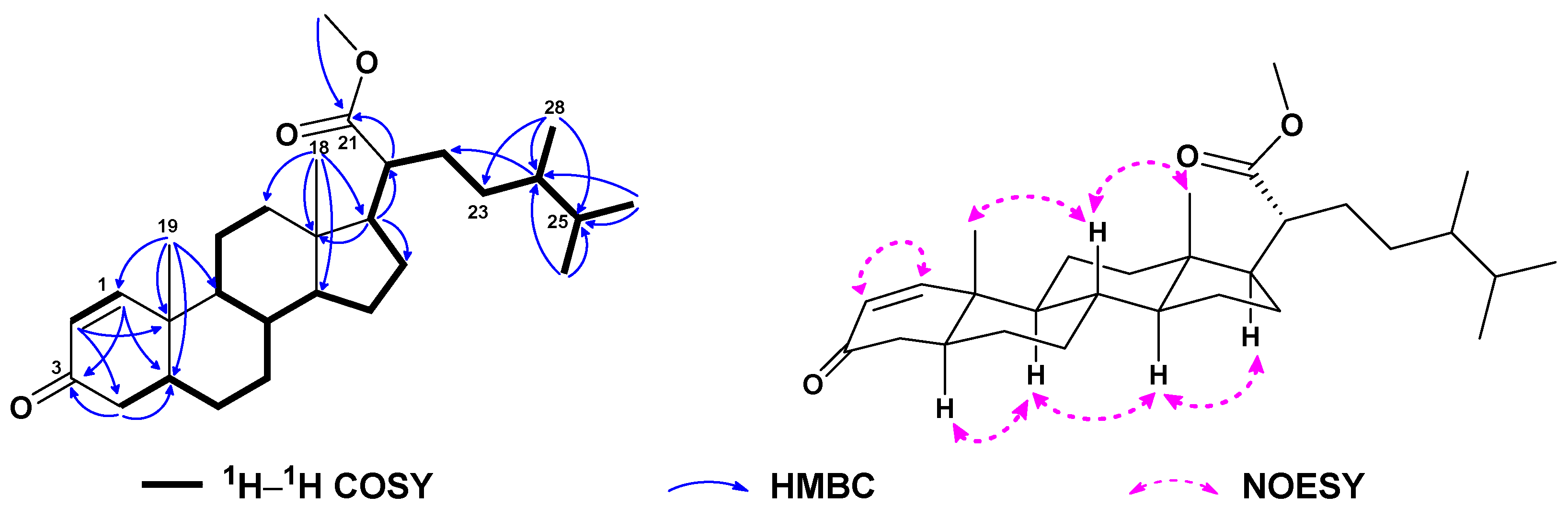 Preprints 80726 g005