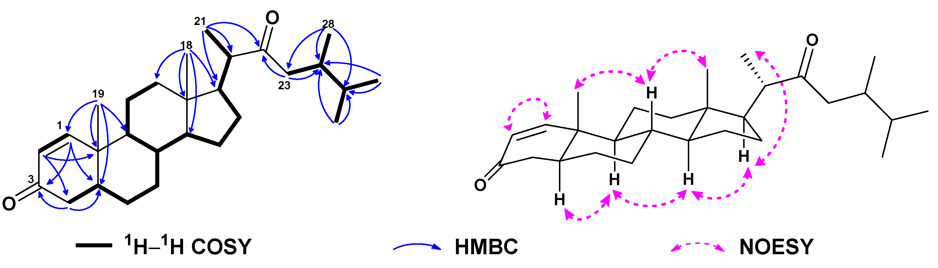 Preprints 80726 g006