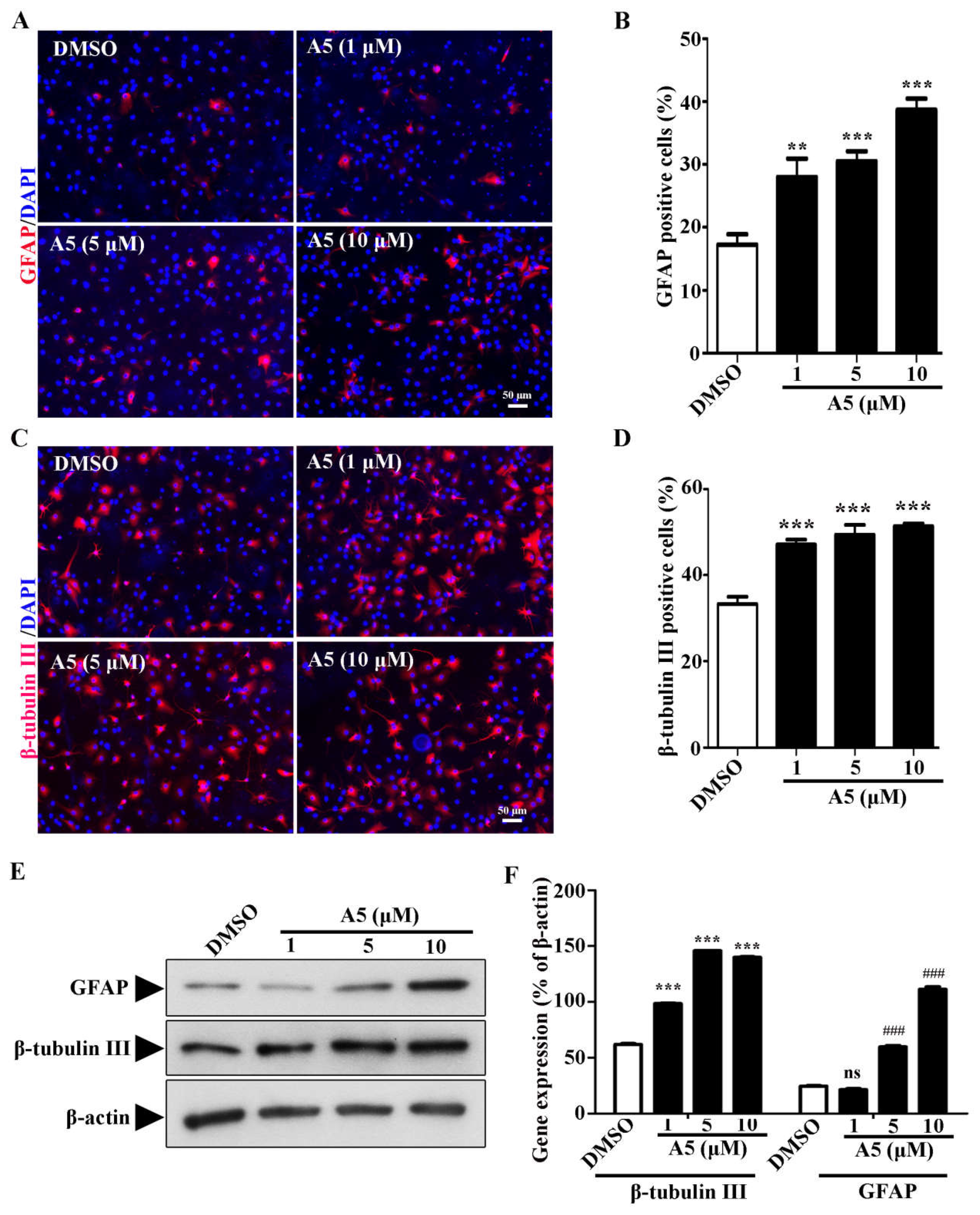 Preprints 104702 g002