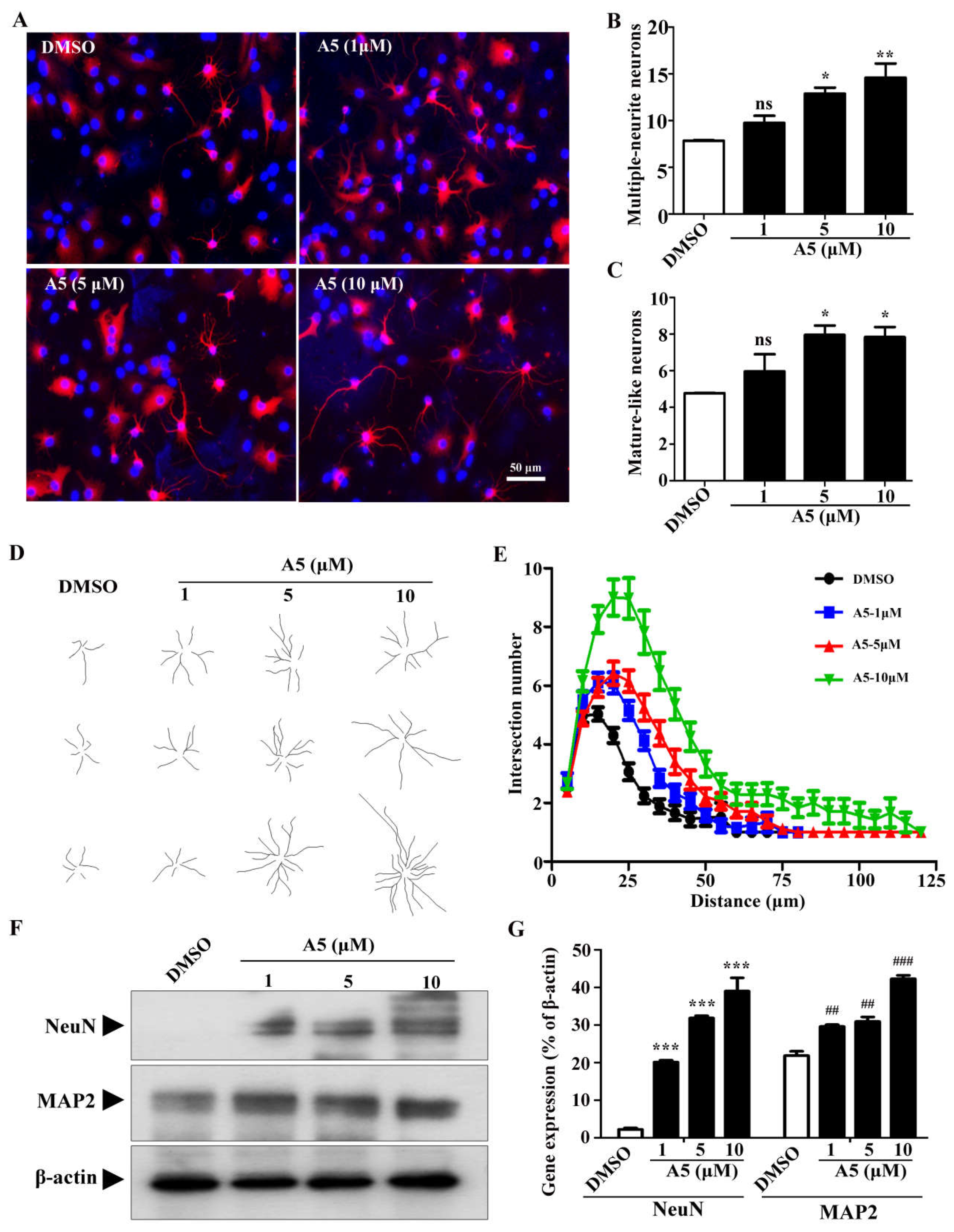 Preprints 104702 g003