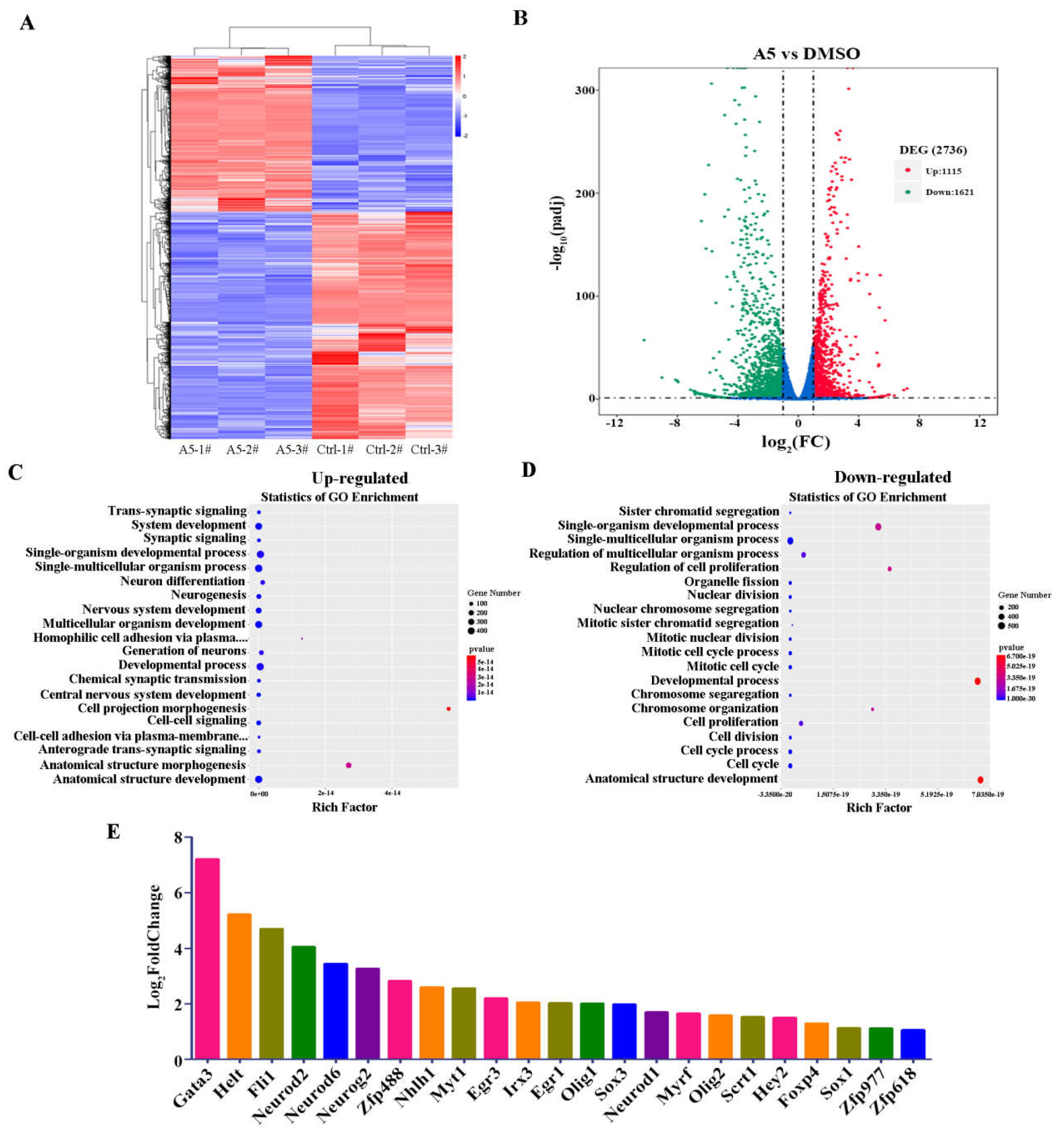 Preprints 104702 g004