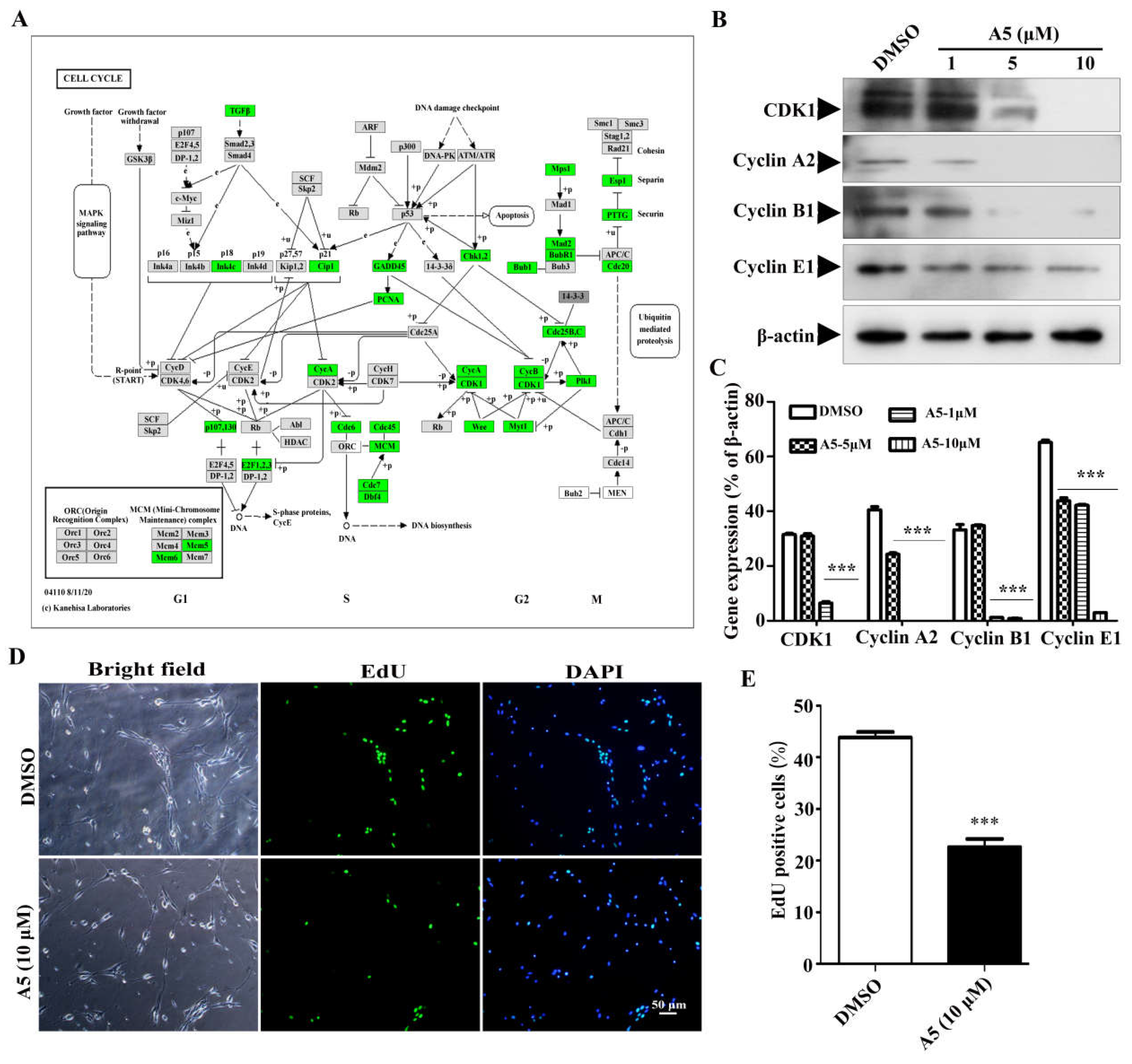 Preprints 104702 g005