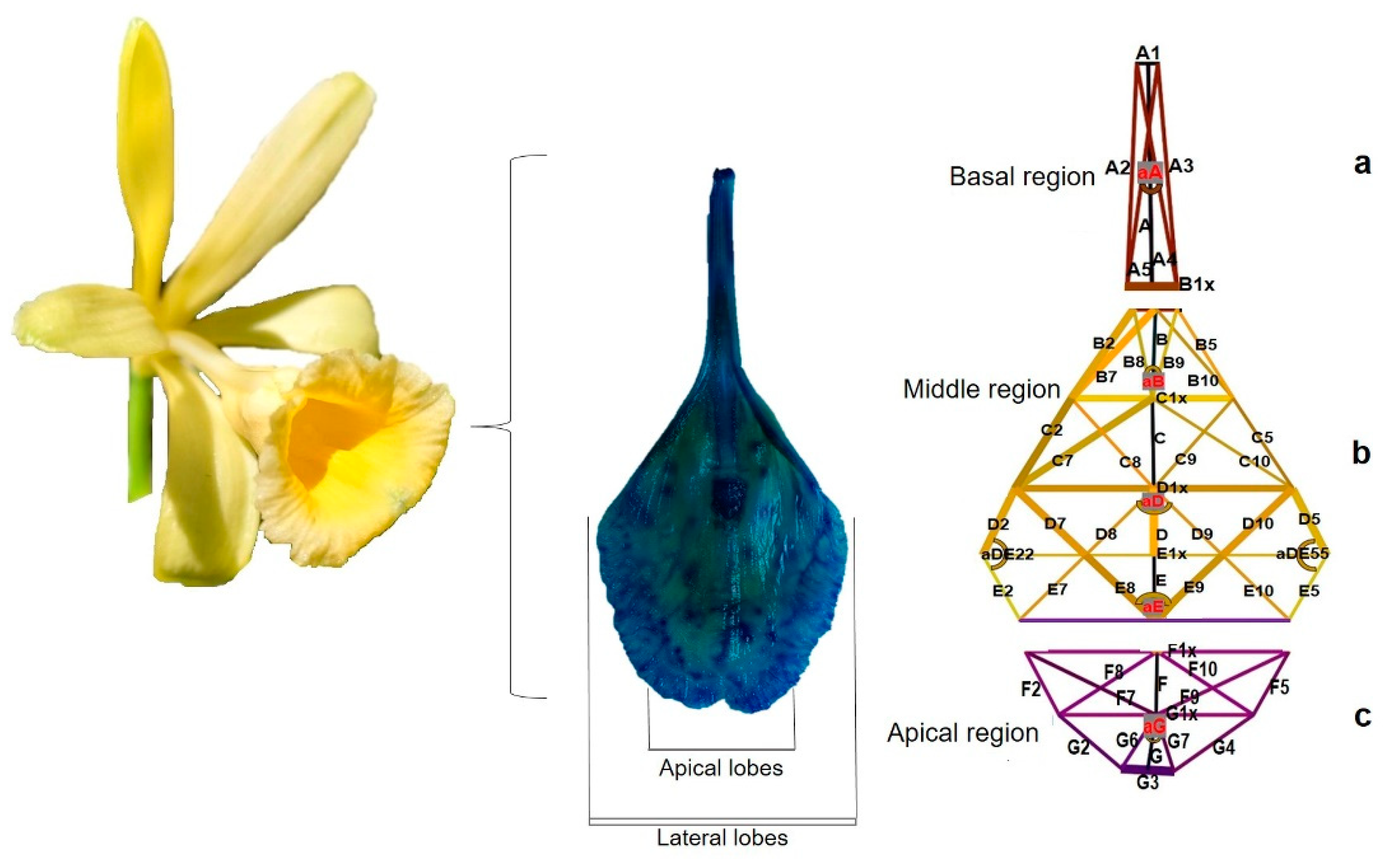 Preprints 85295 g003