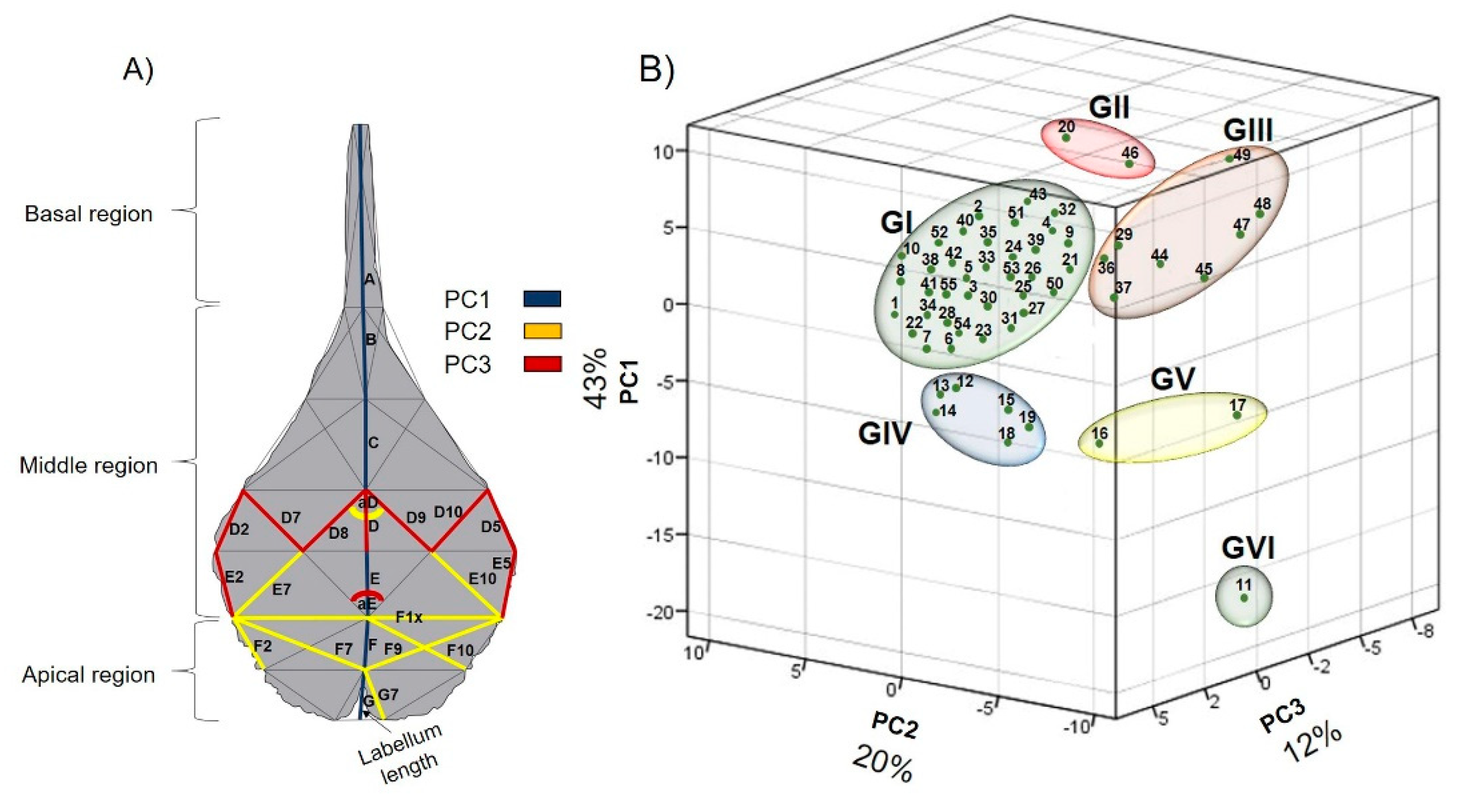 Preprints 85295 g004