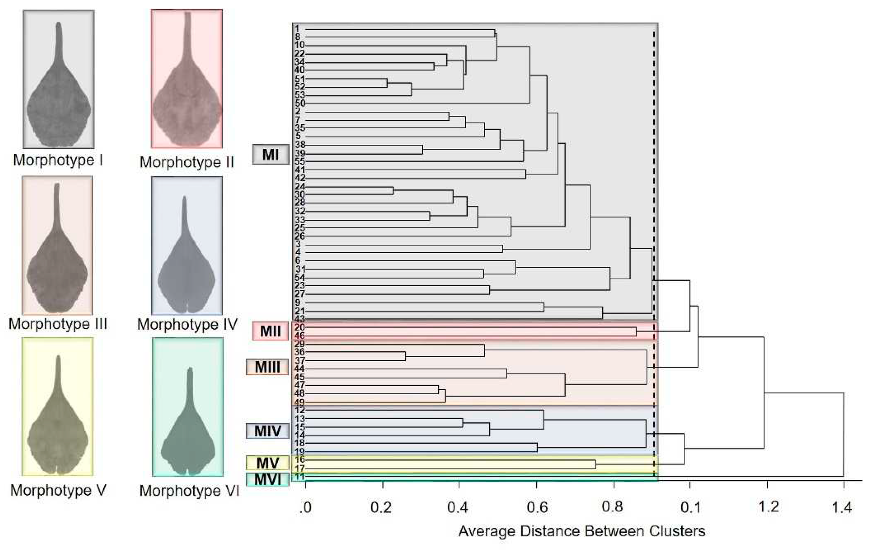 Preprints 85295 g005