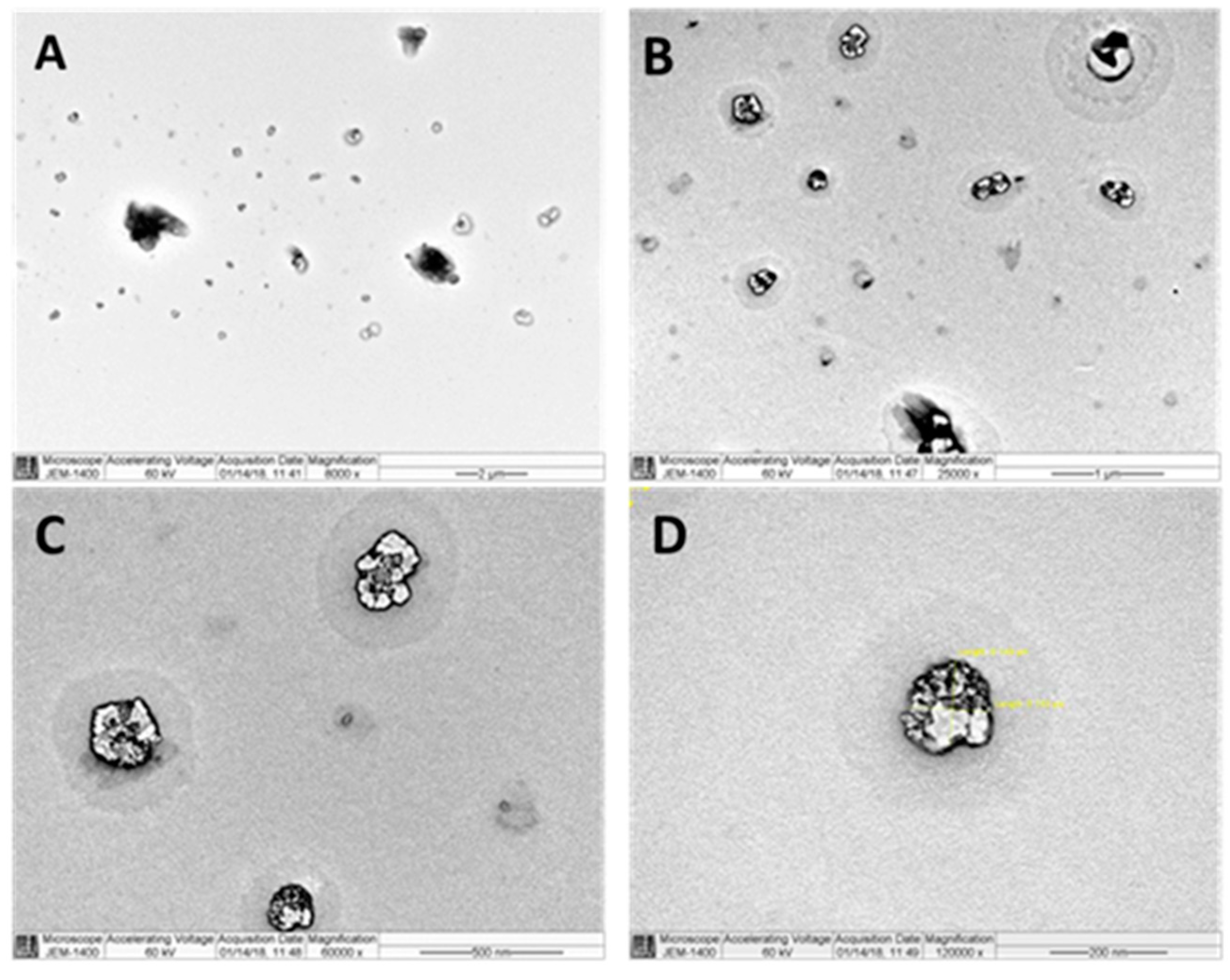 Preprints 88930 g002