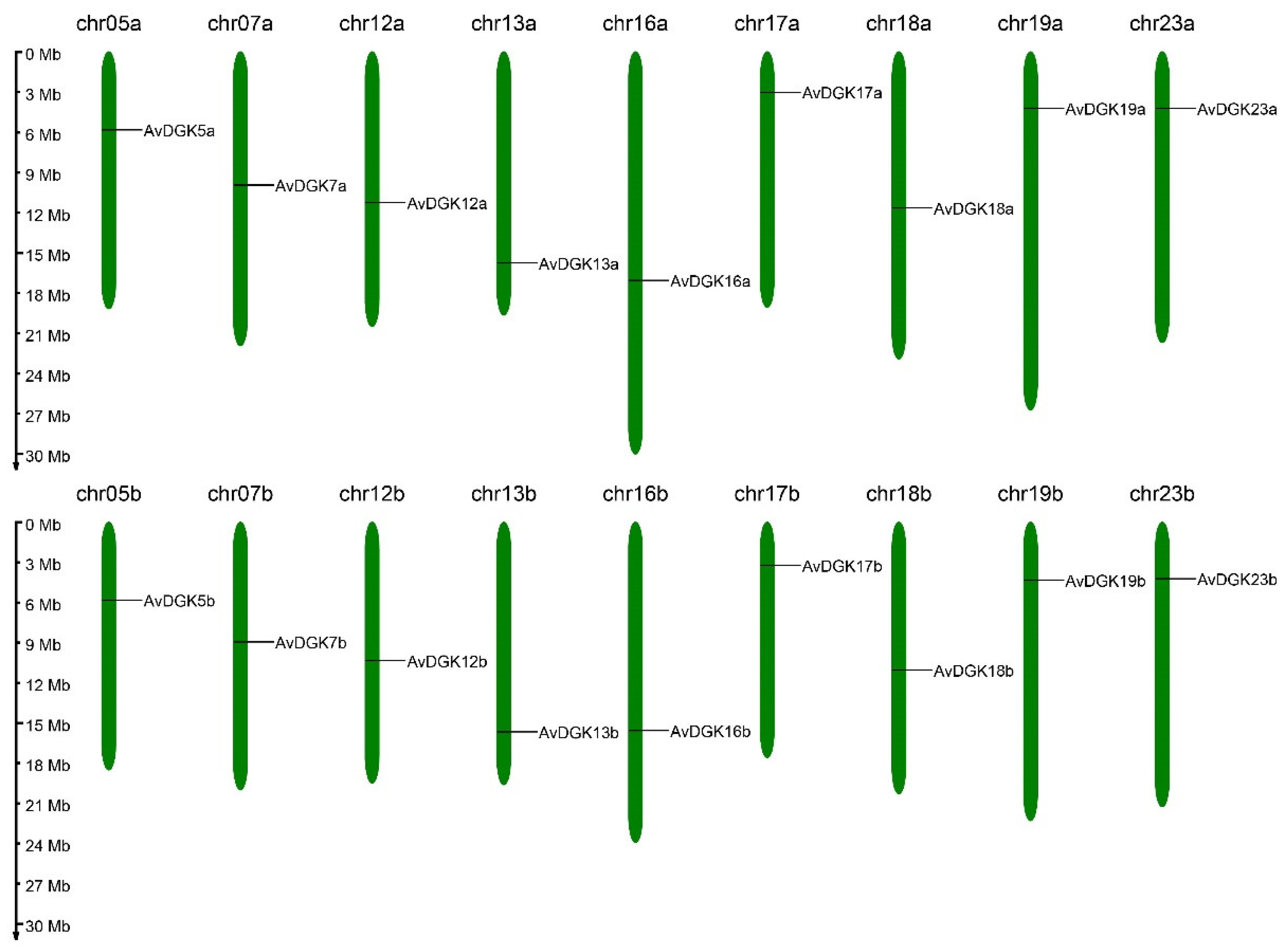 Preprints 99720 g001