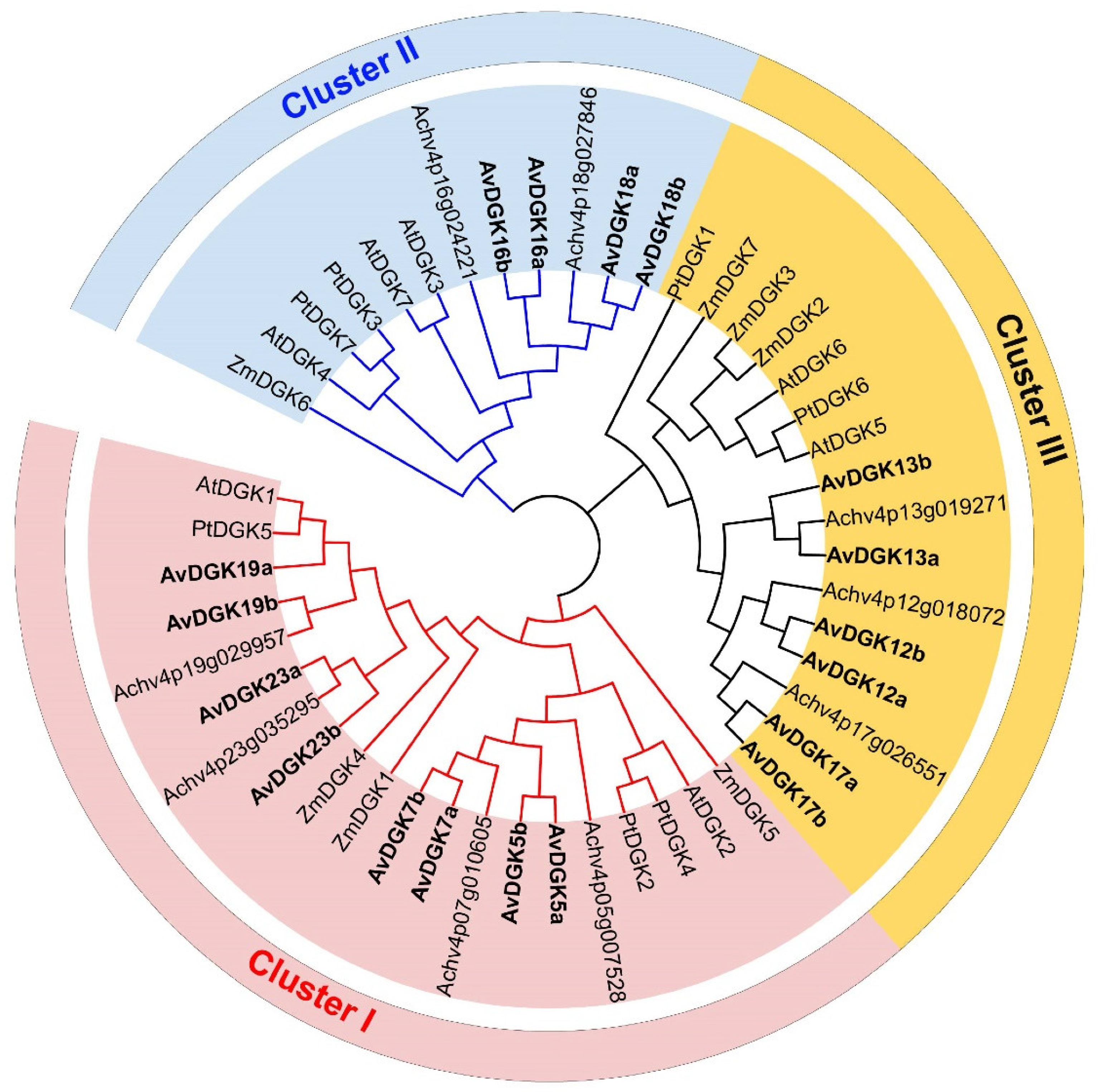 Preprints 99720 g002