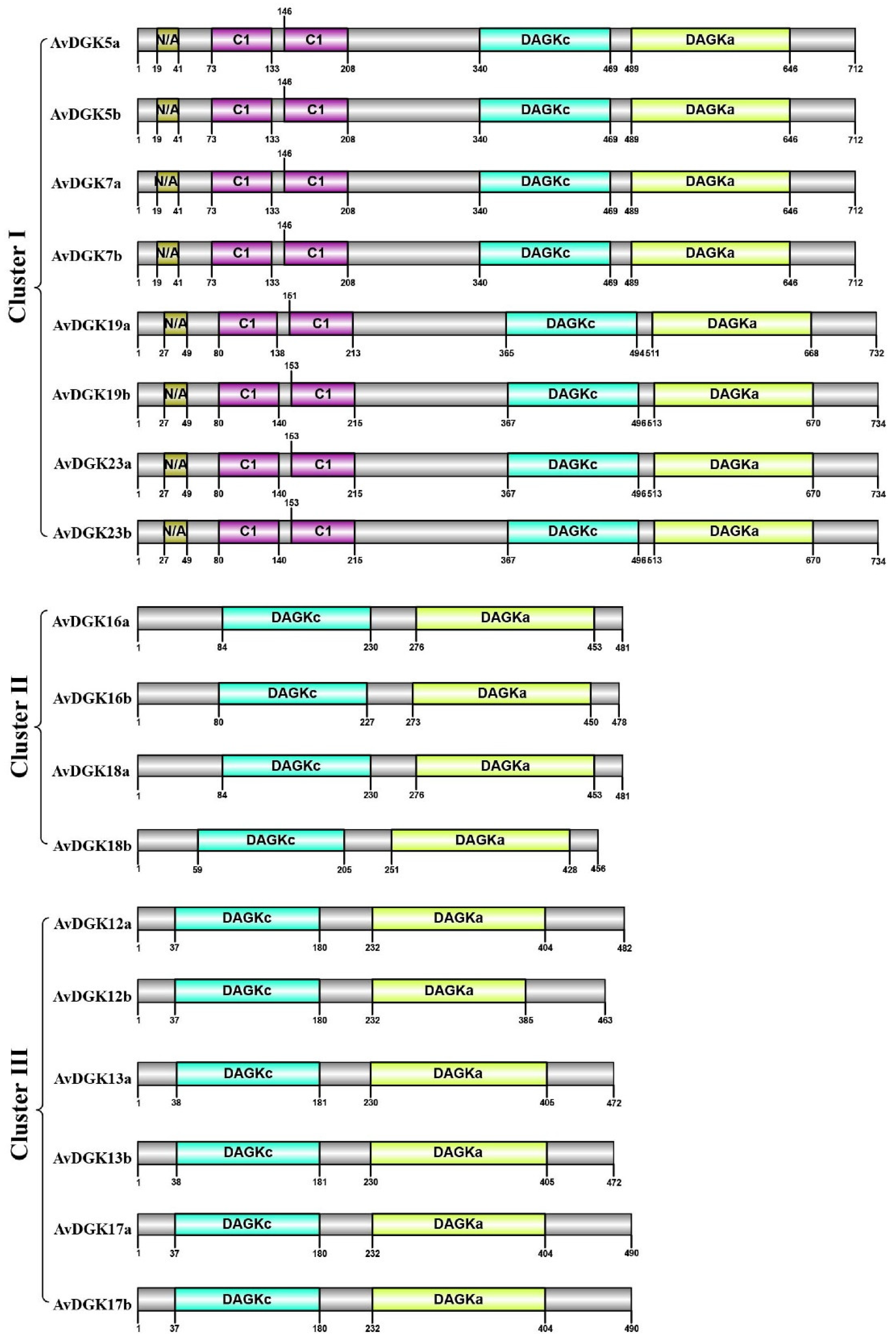 Preprints 99720 g004