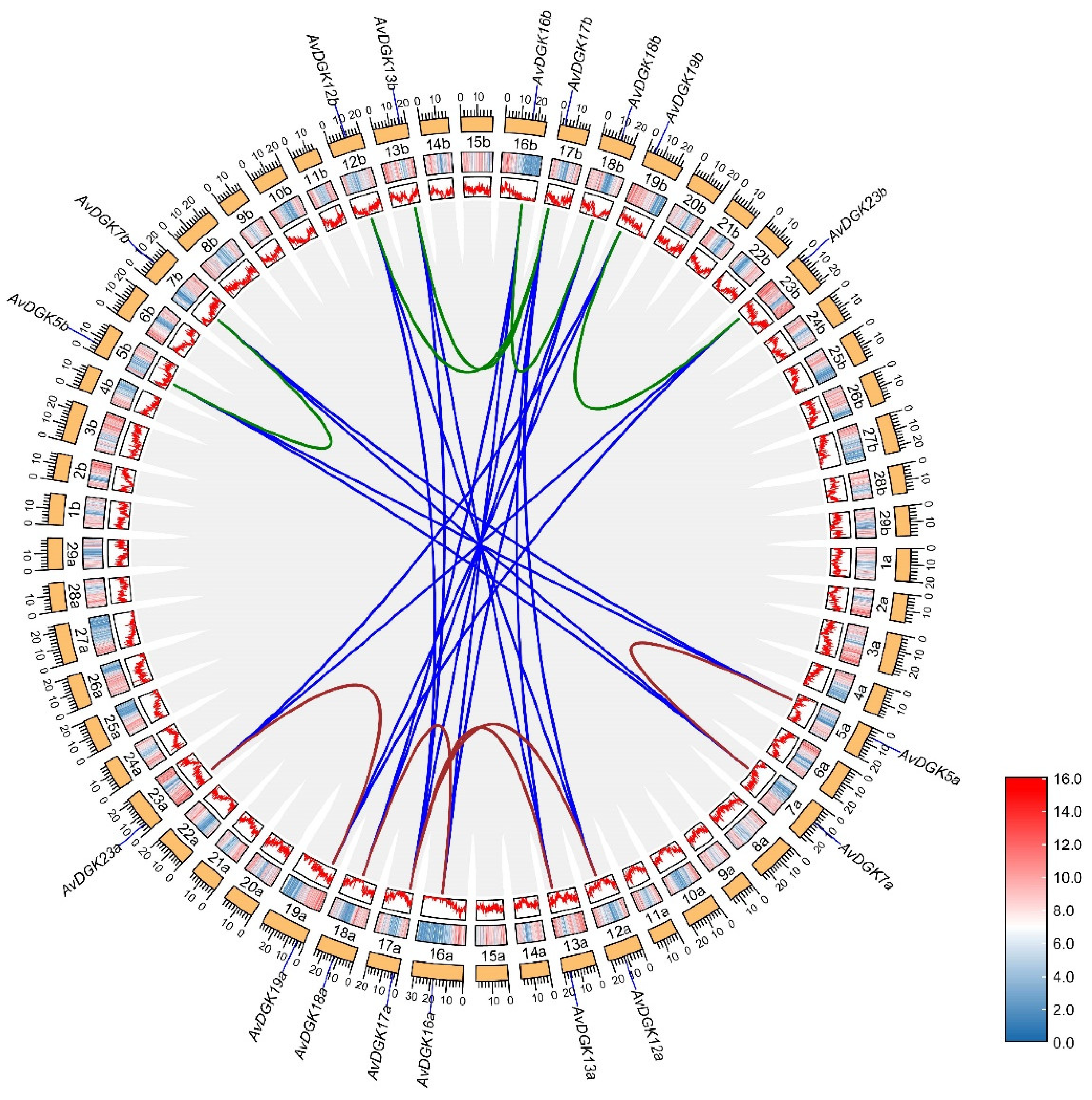 Preprints 99720 g006