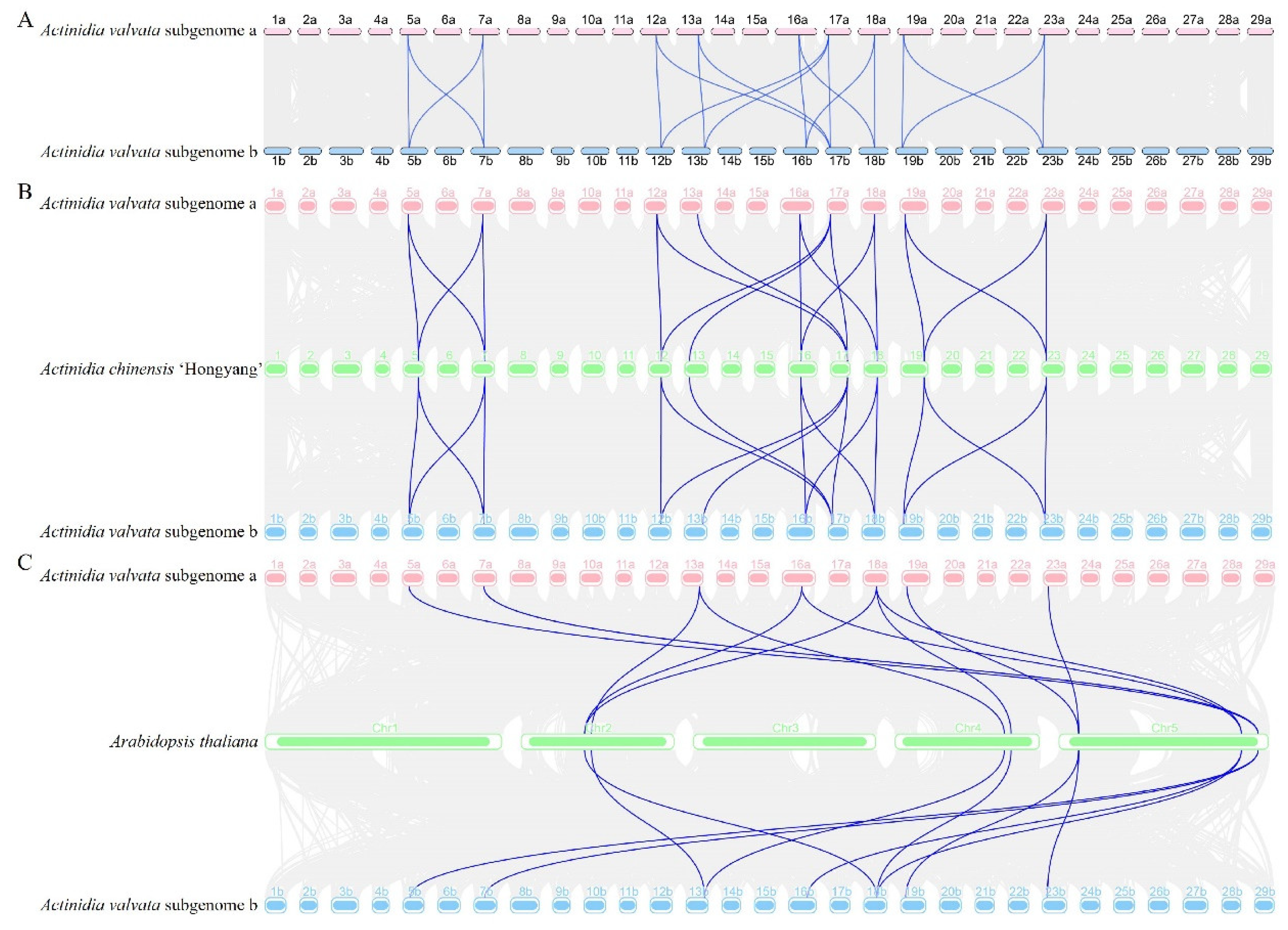 Preprints 99720 g007