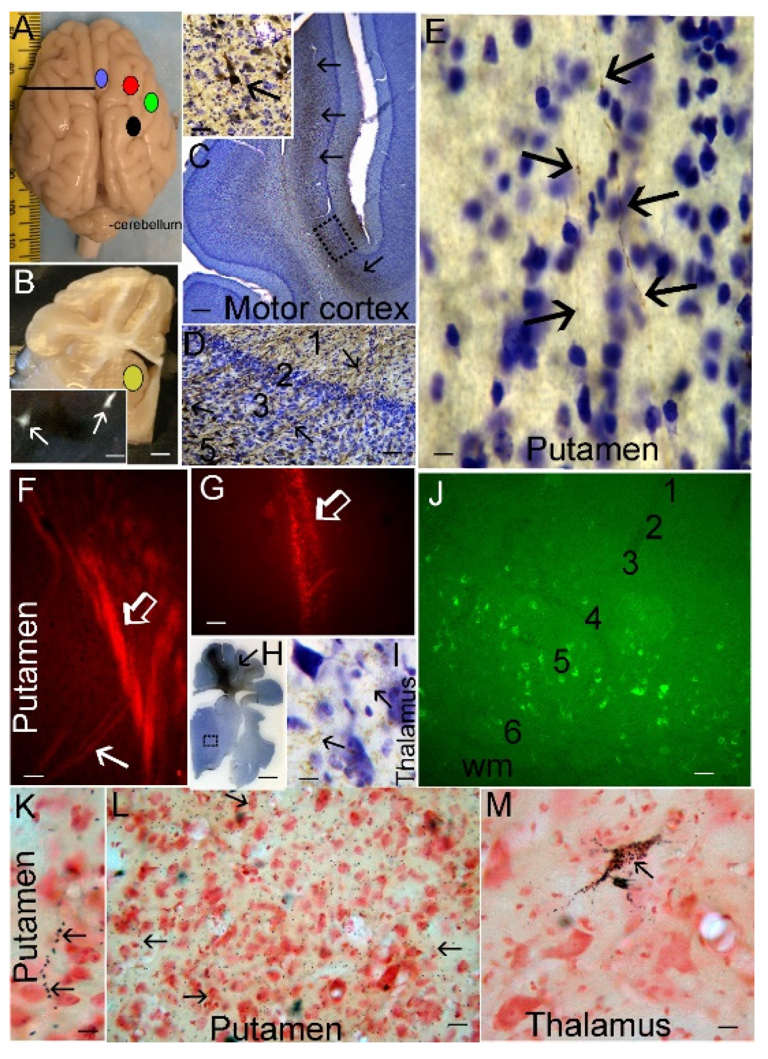 Preprints 78425 g005