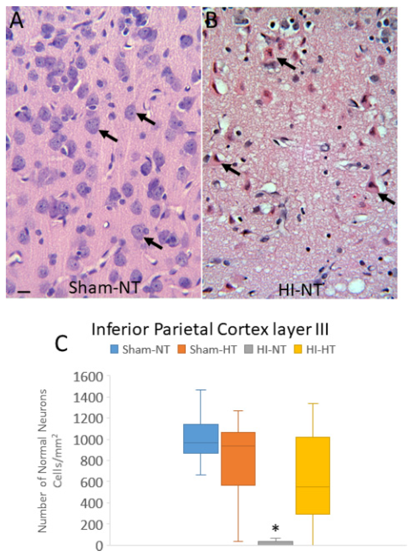 Preprints 78425 g009