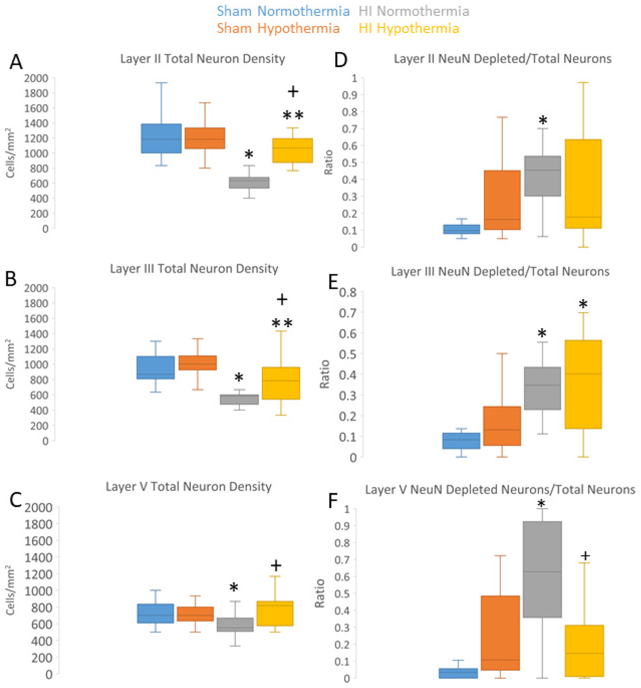 Preprints 78425 g010