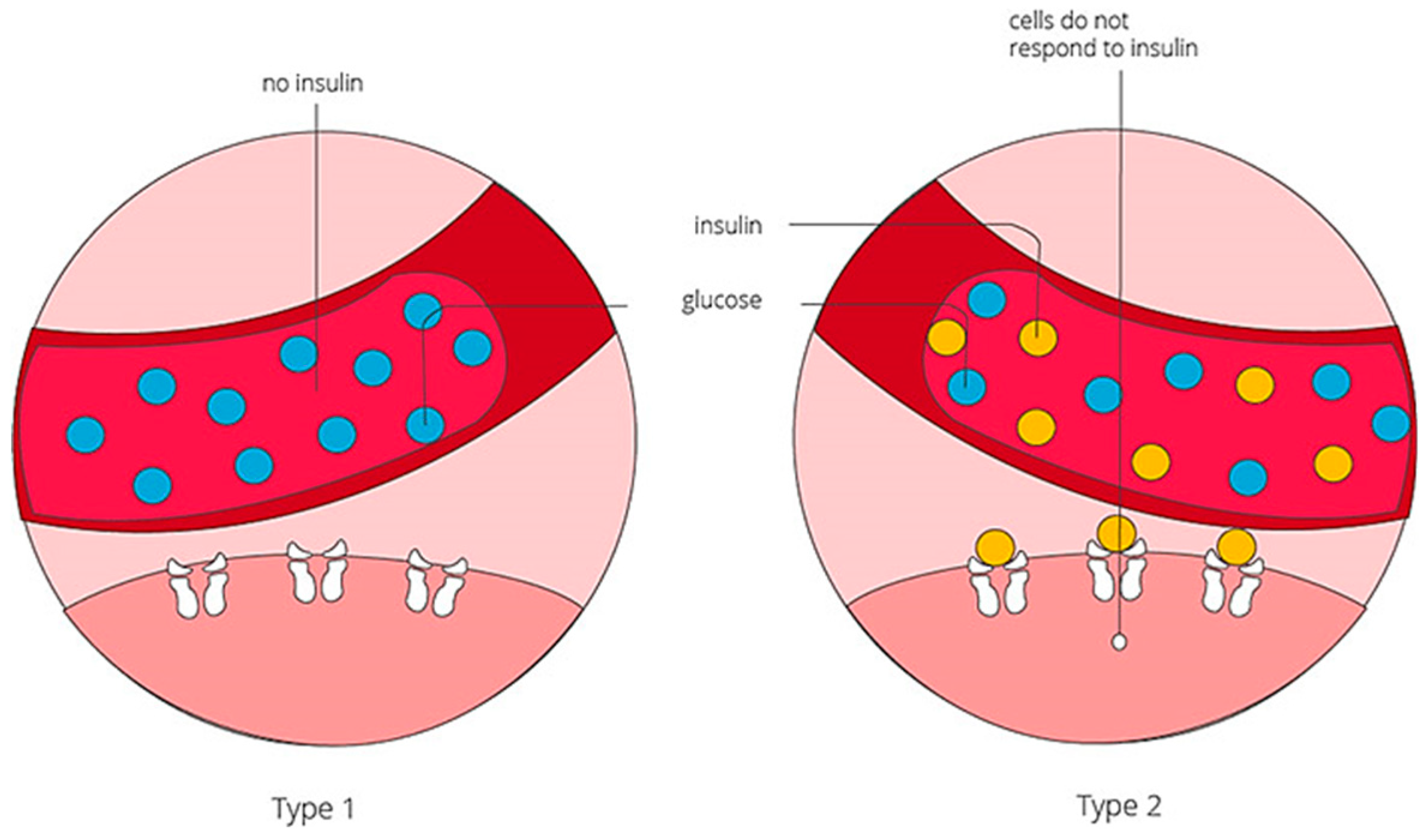 Preprints 82943 g001