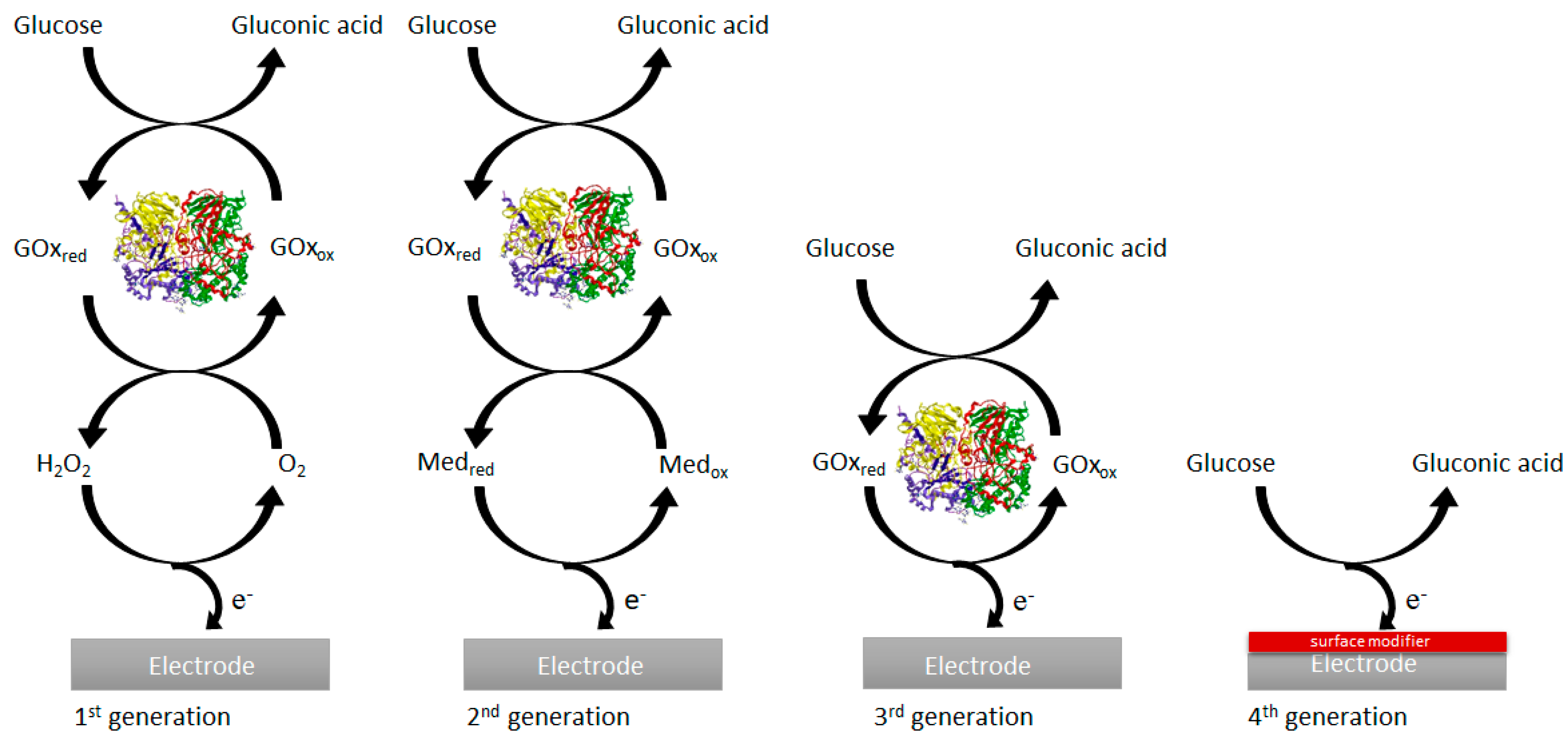 Preprints 82943 g002