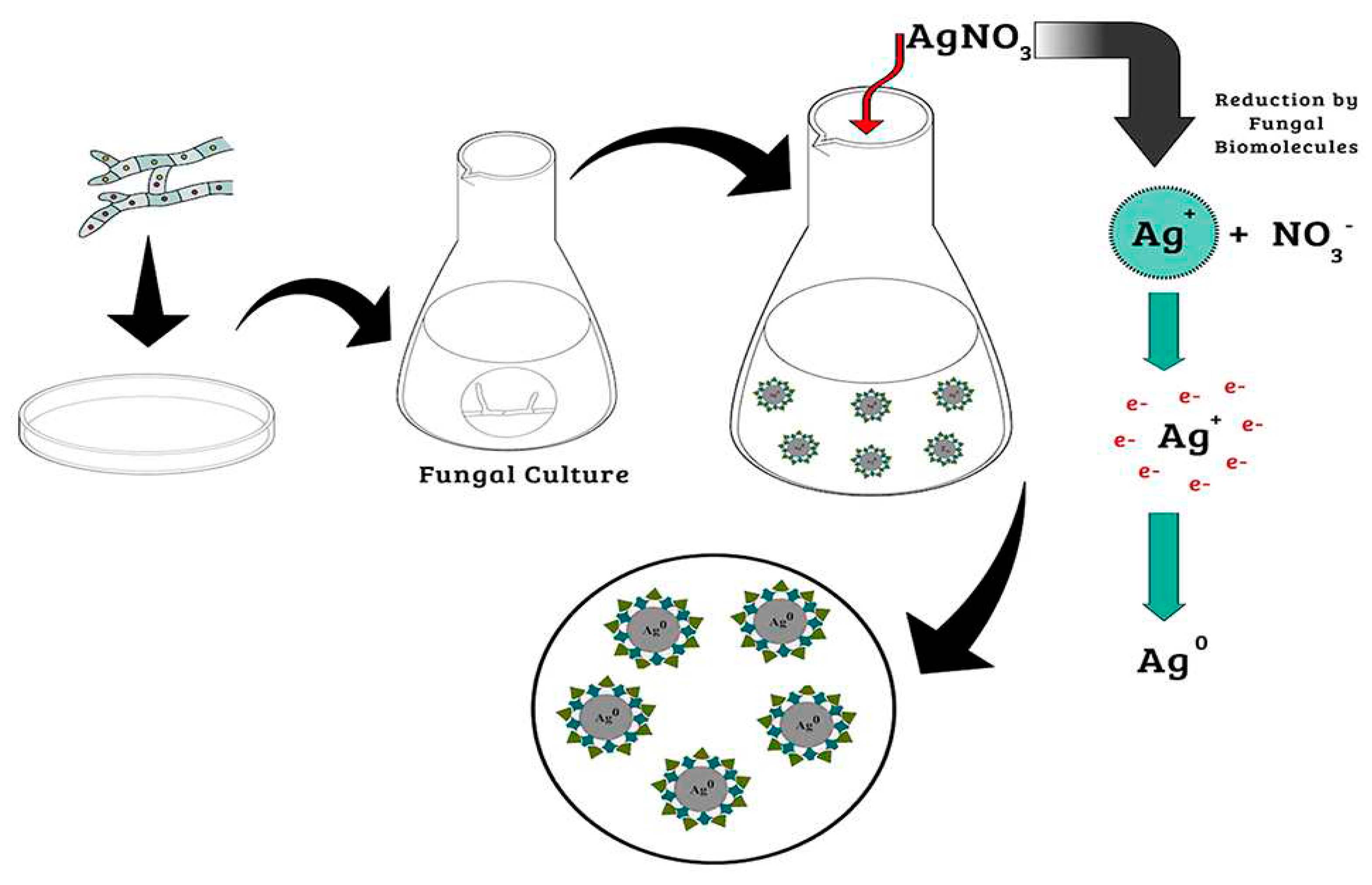 Preprints 73015 g002