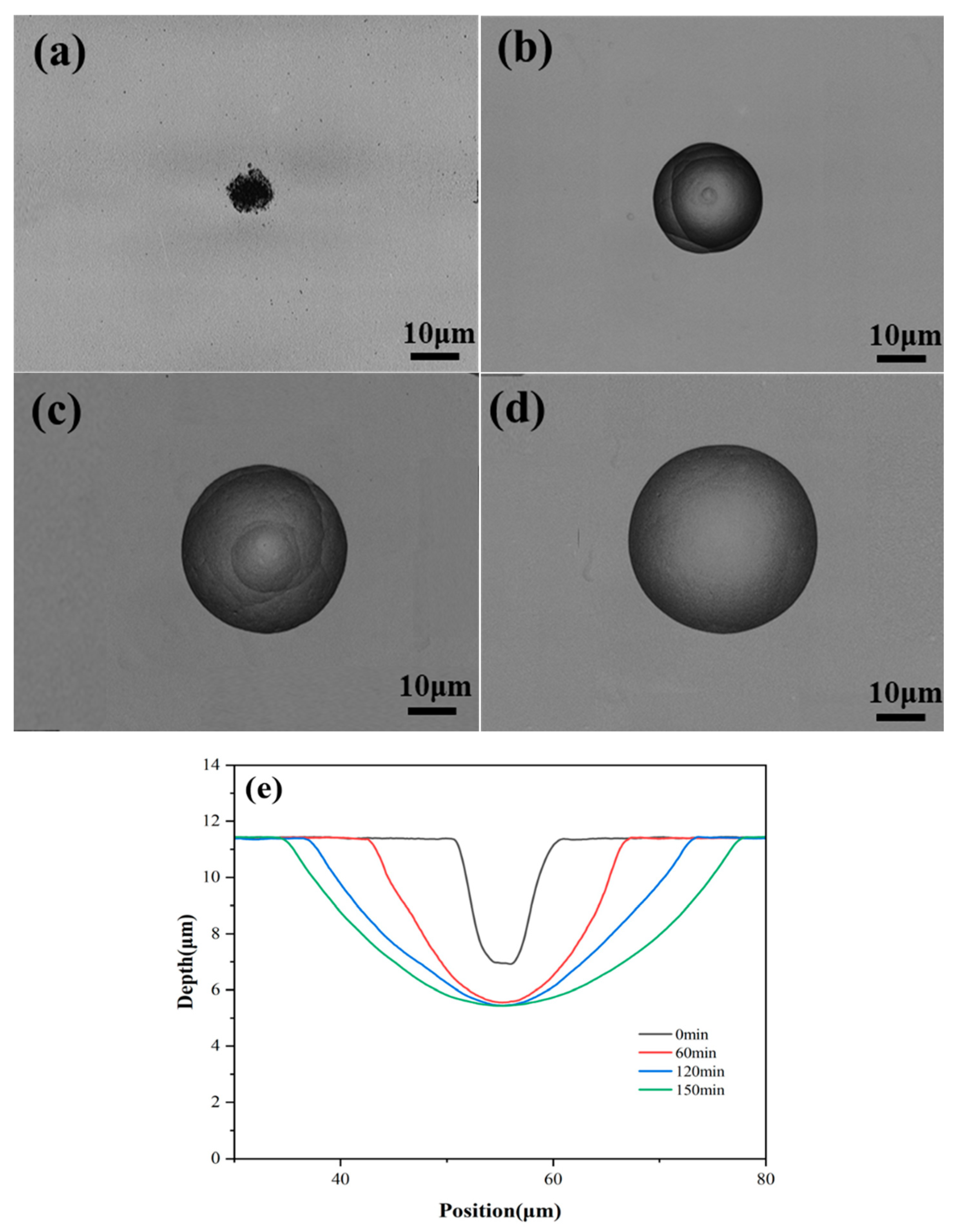 Preprints 114335 g003