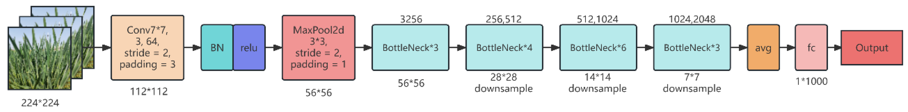 Preprints 110011 g003