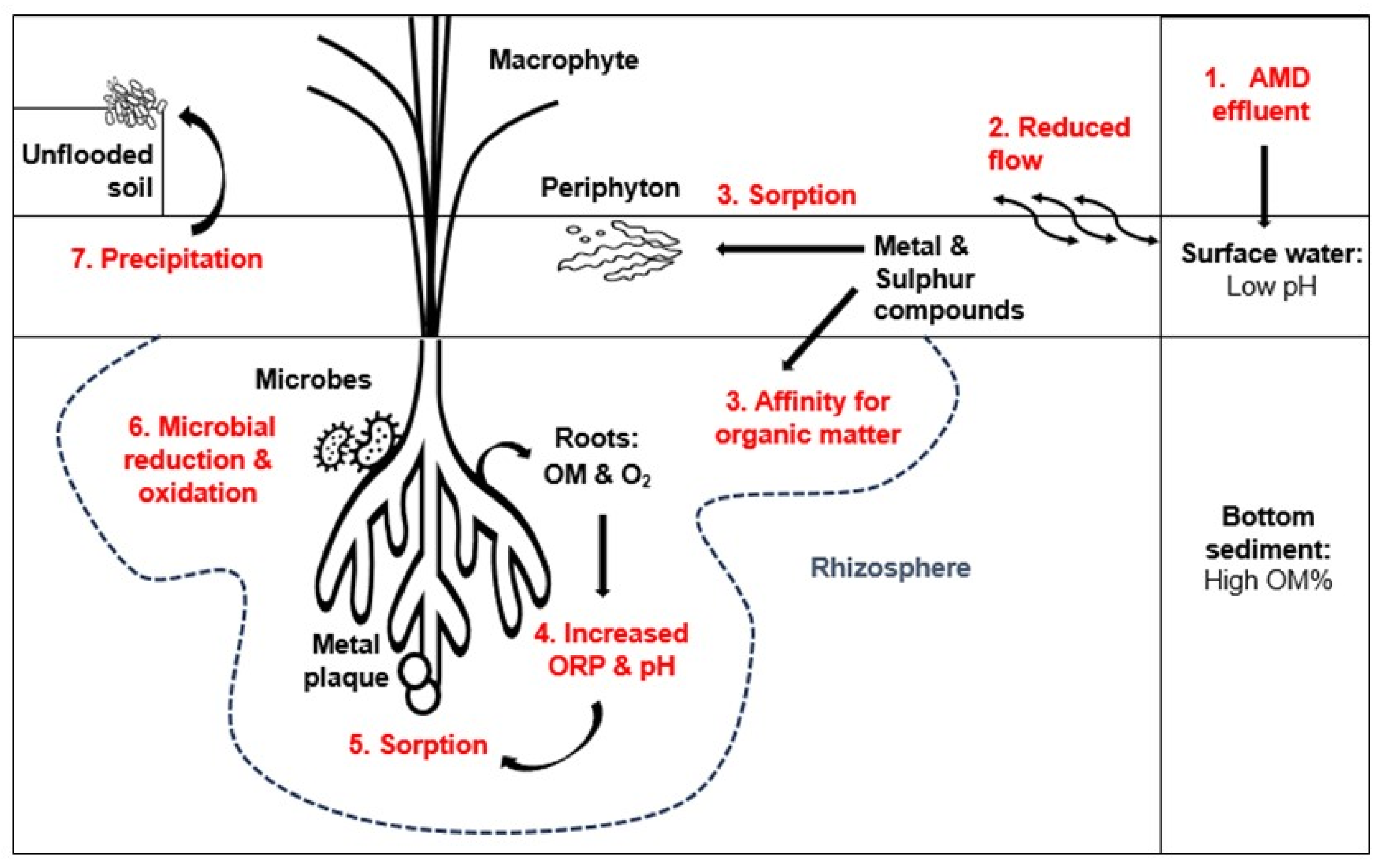 Preprints 112227 g010