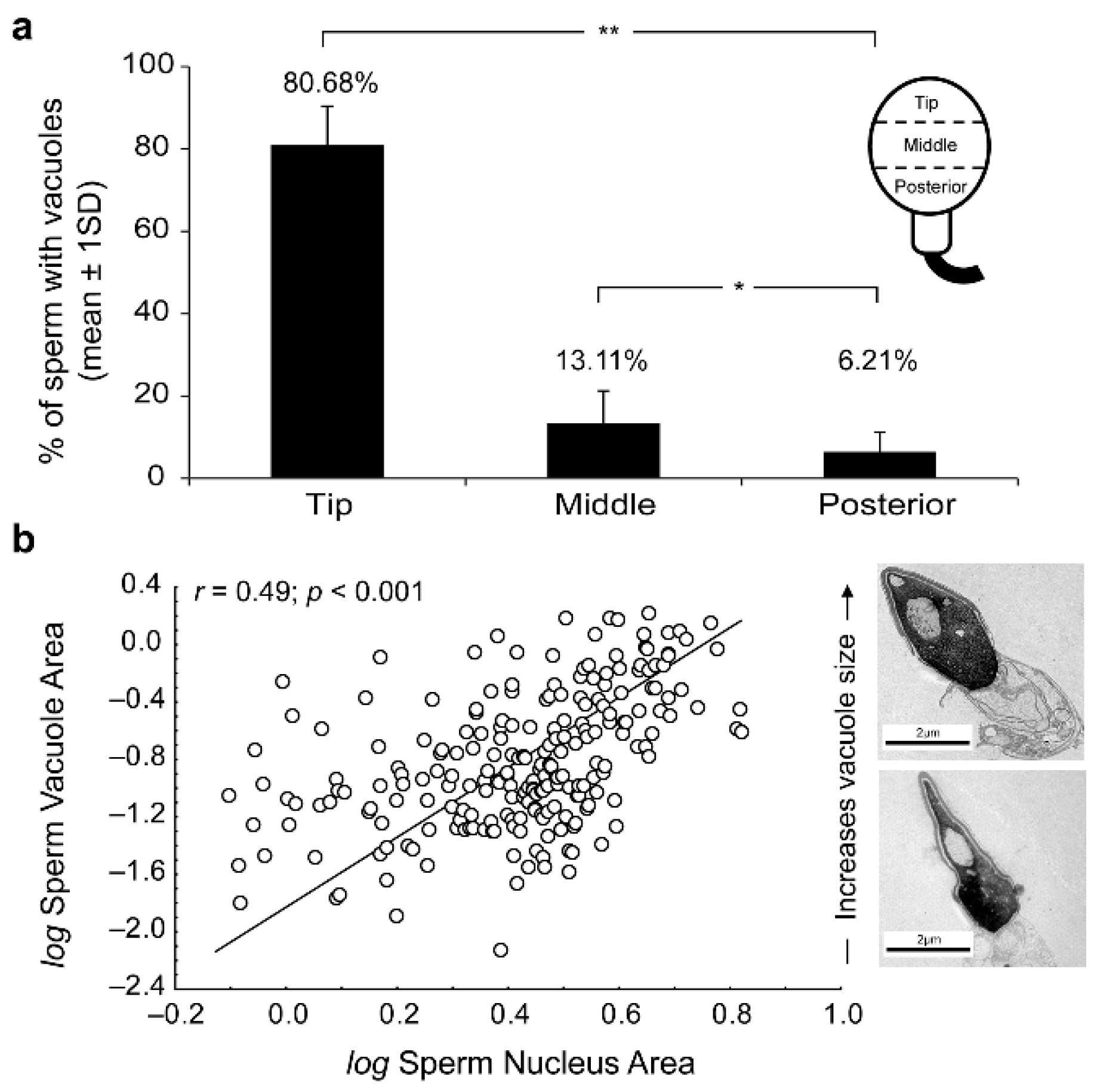 Preprints 73106 g001