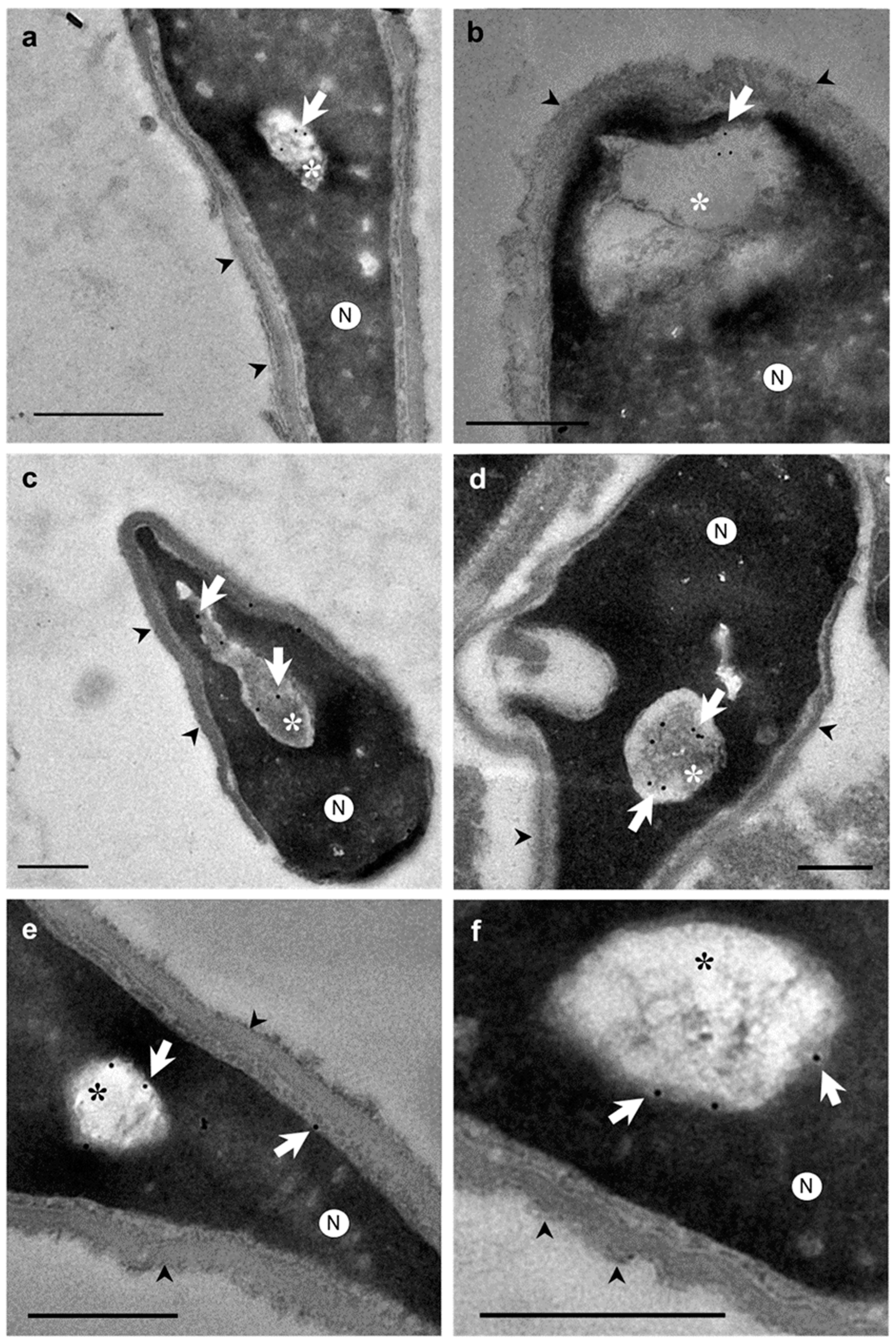 Preprints 73106 g003