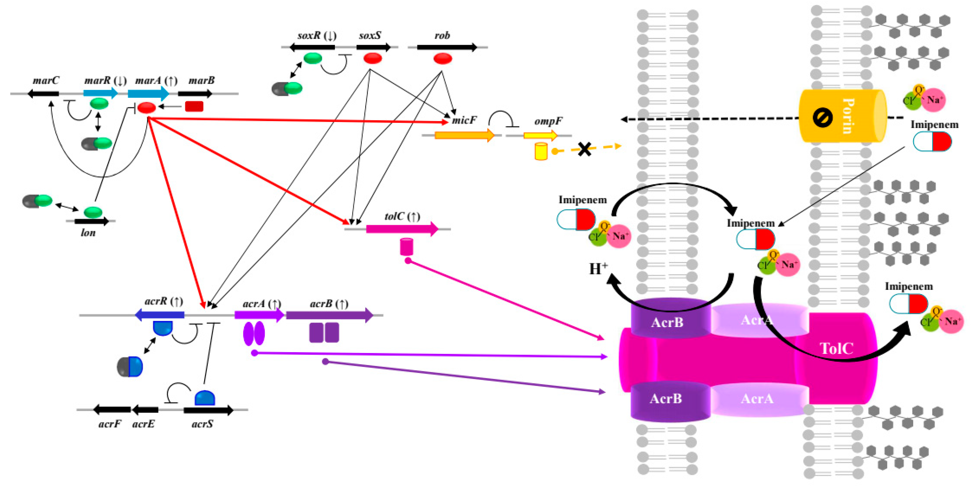 Preprints 113580 g001