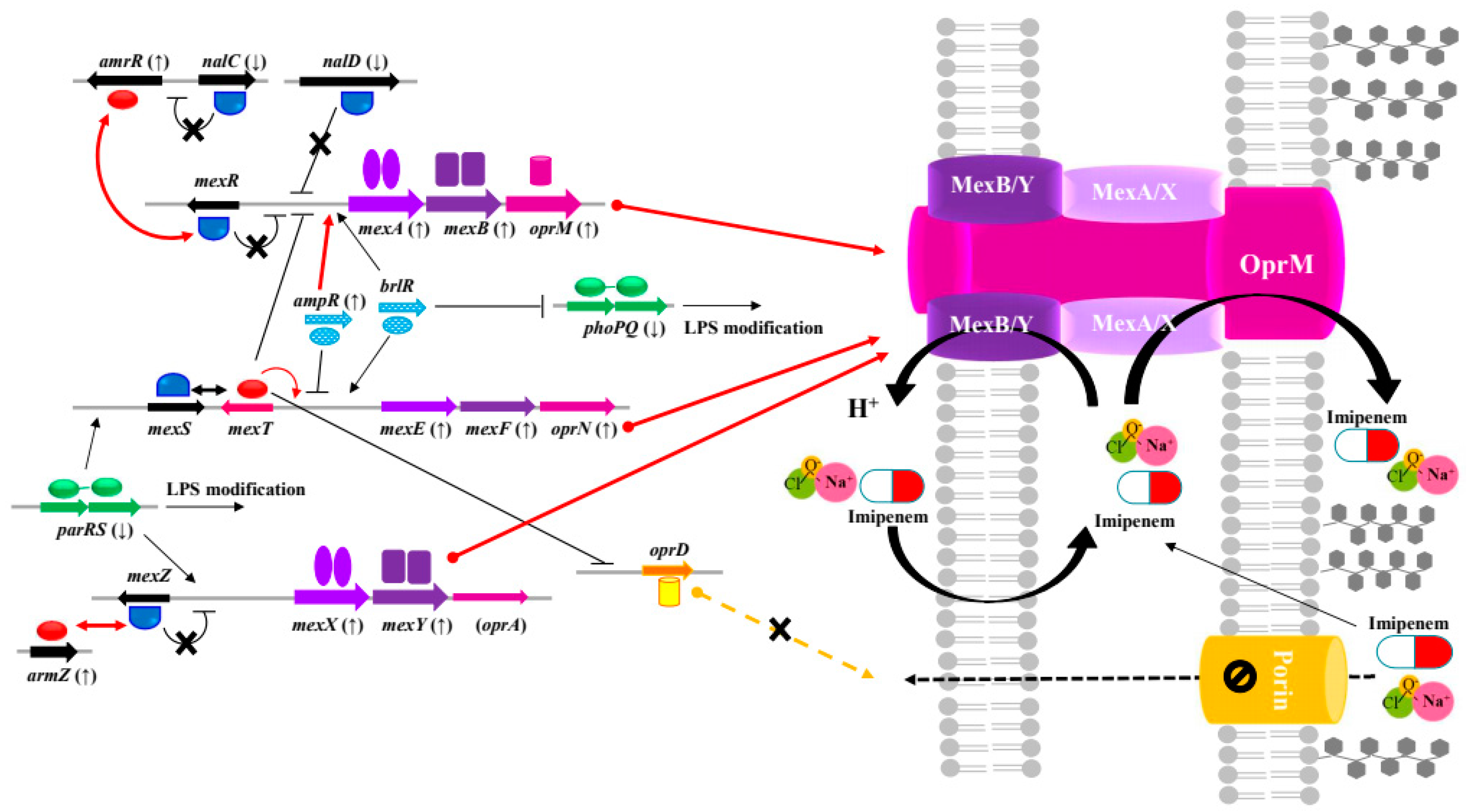 Preprints 113580 g002