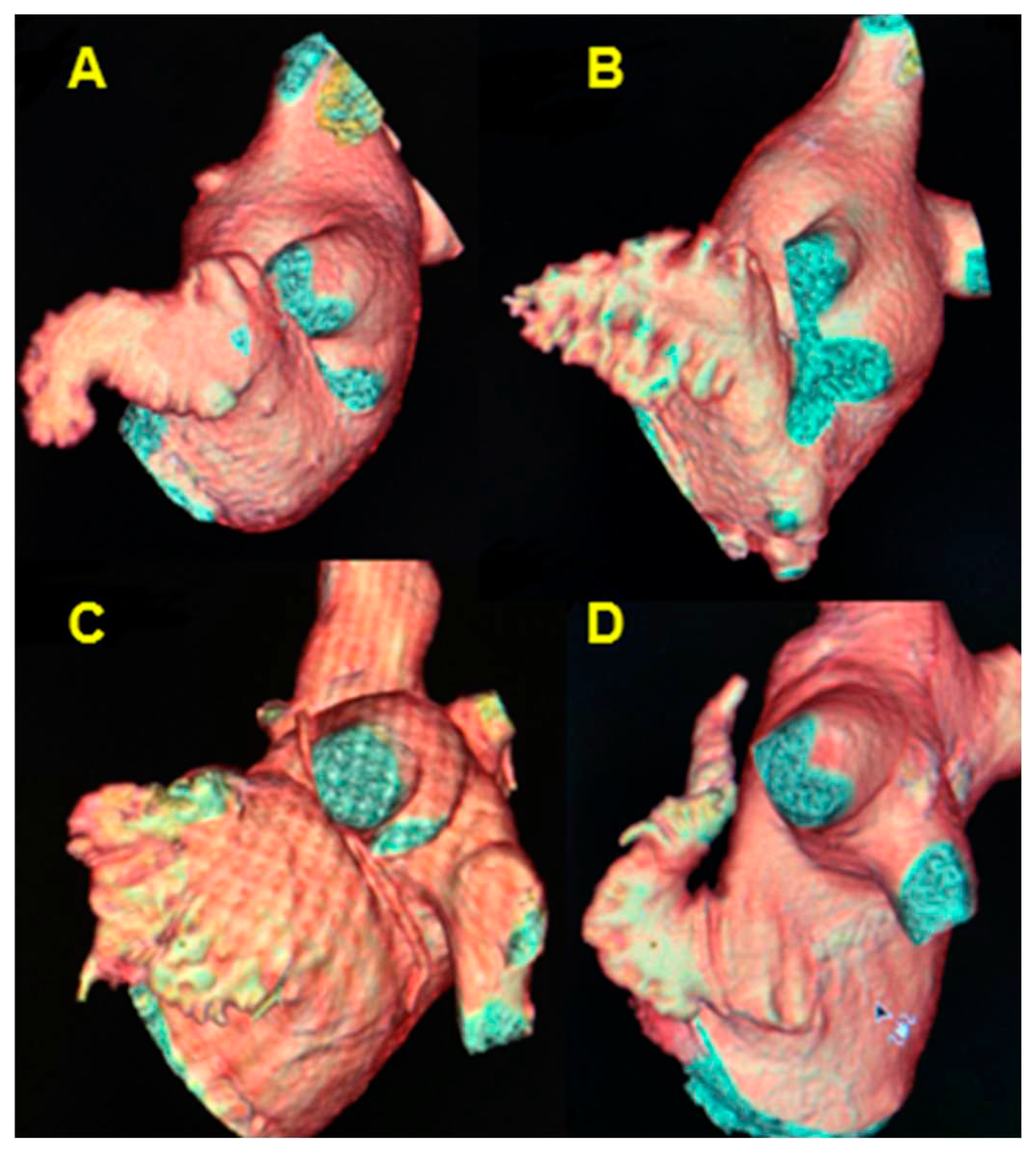 Preprints 80139 g004