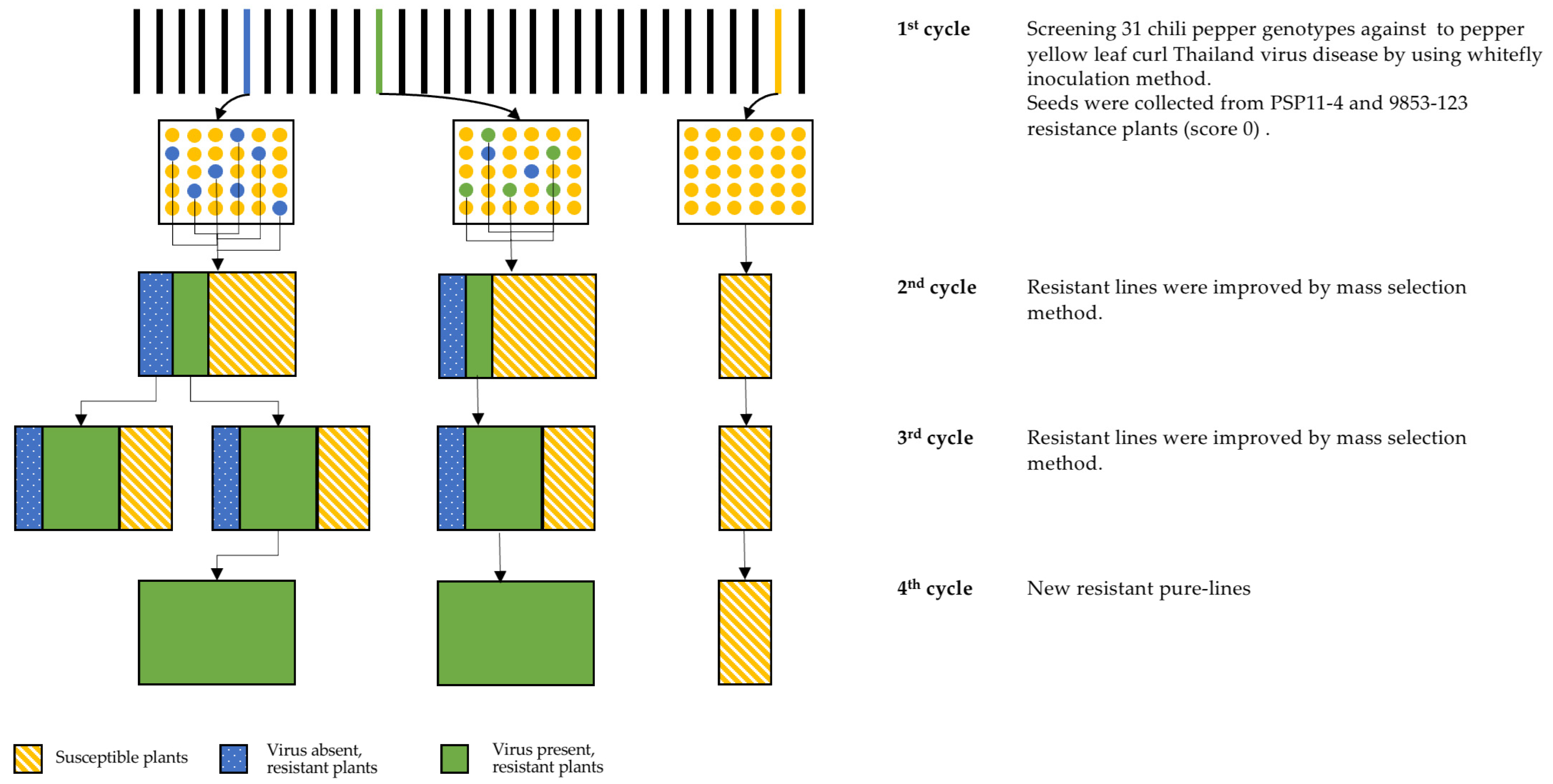 Preprints 107669 g001