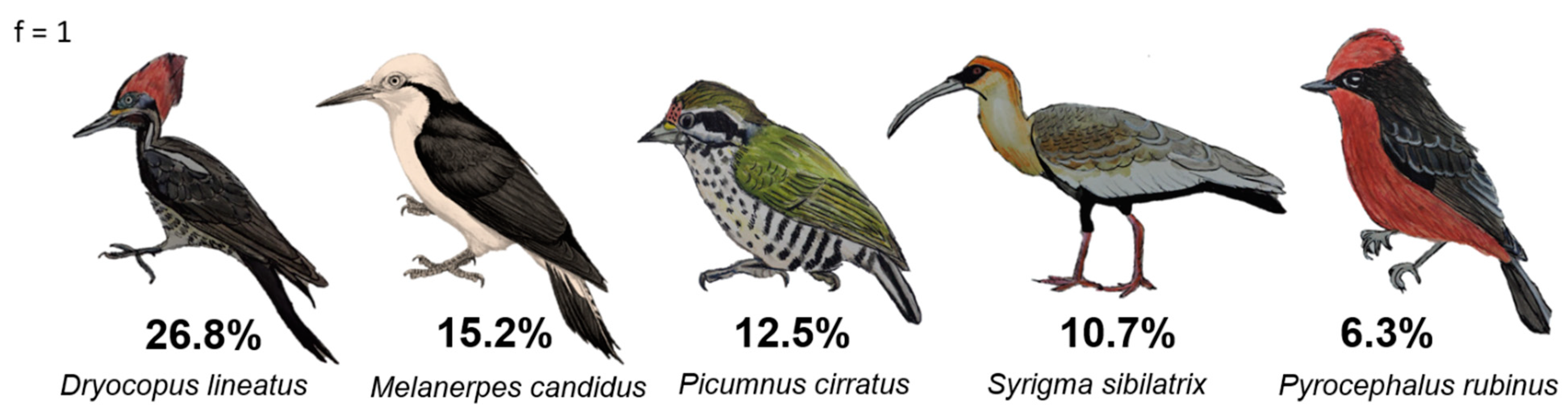 Preprints 94103 g006