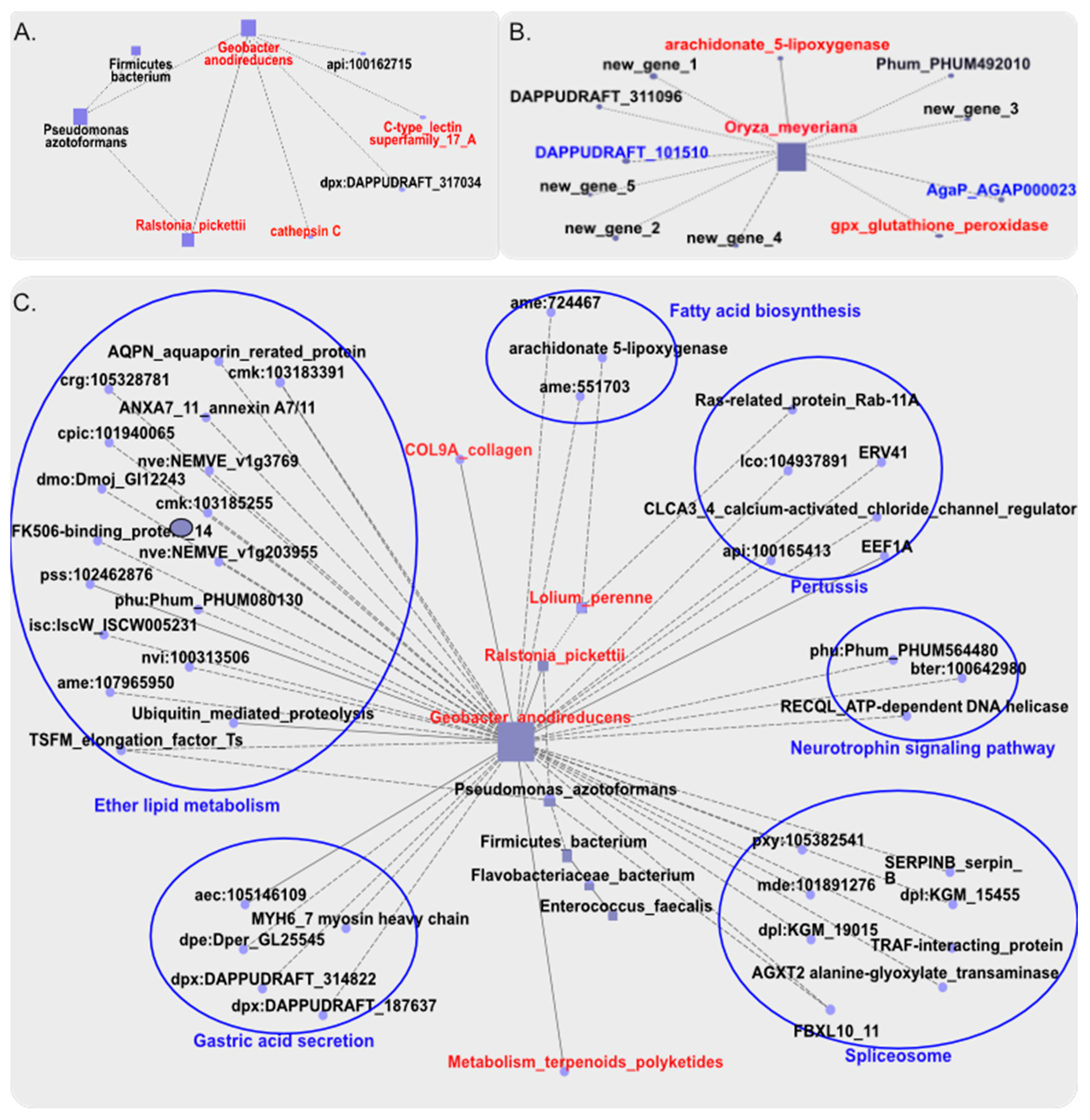 Preprints 79681 g005