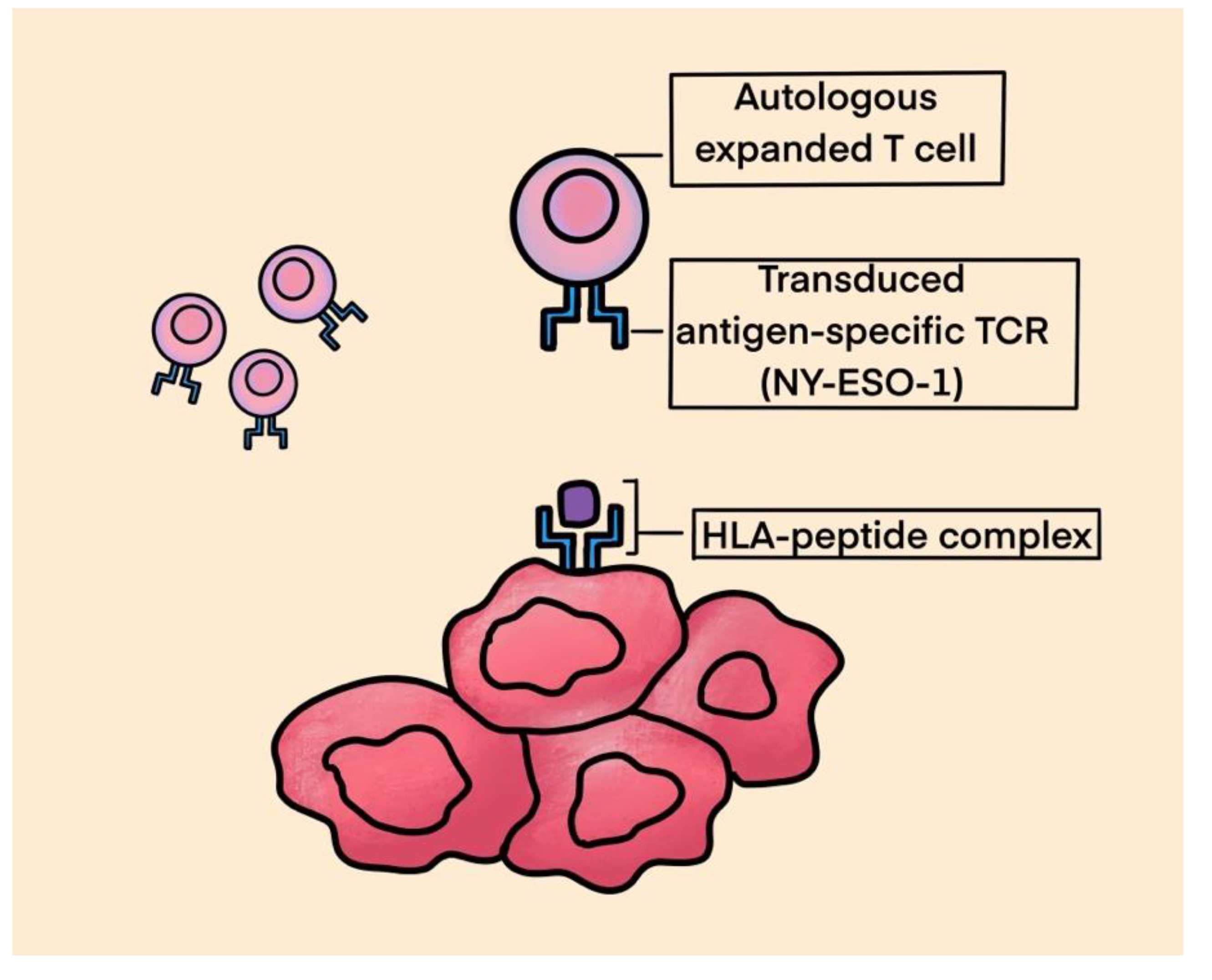 Preprints 93363 g003