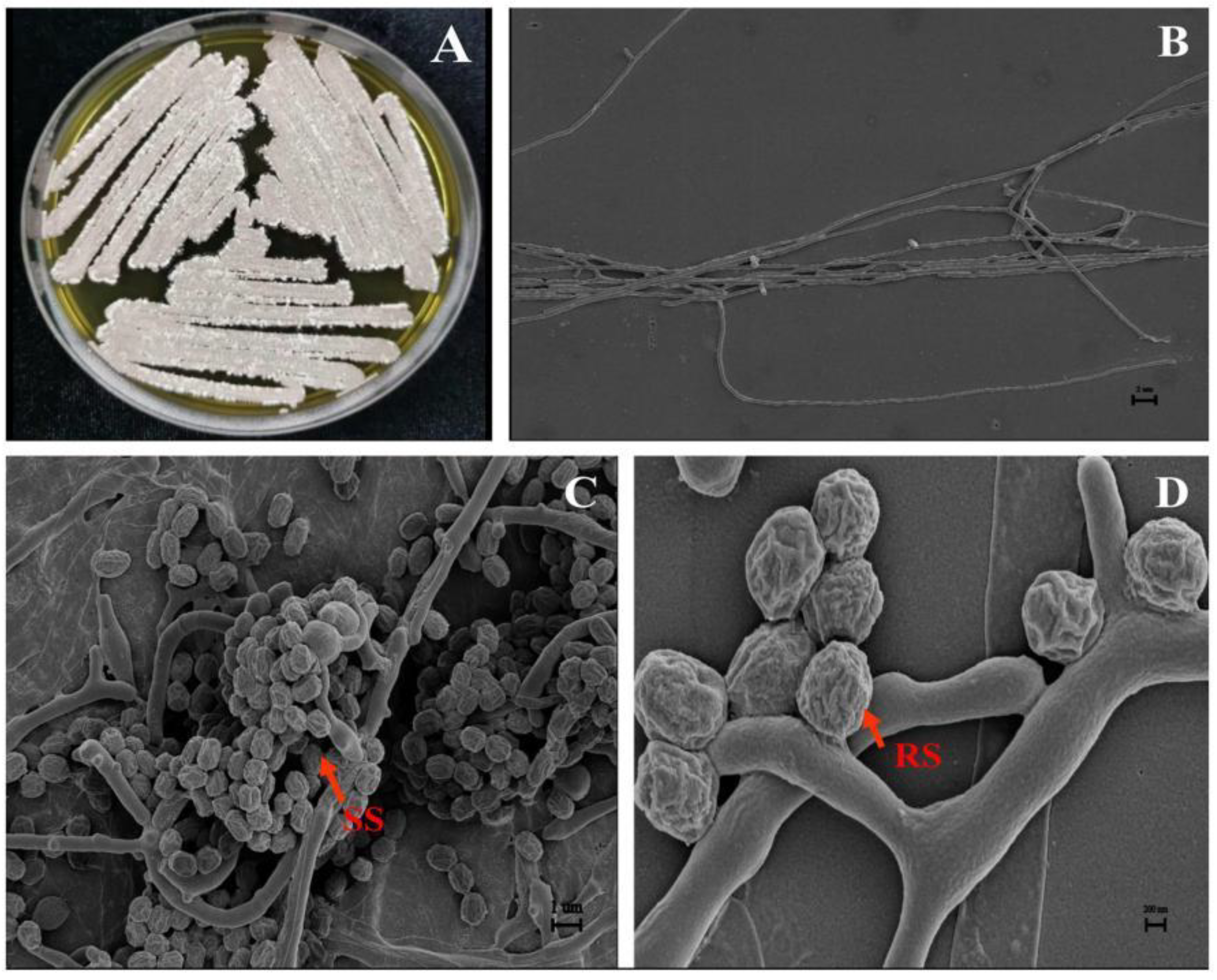 Preprints 72012 g003