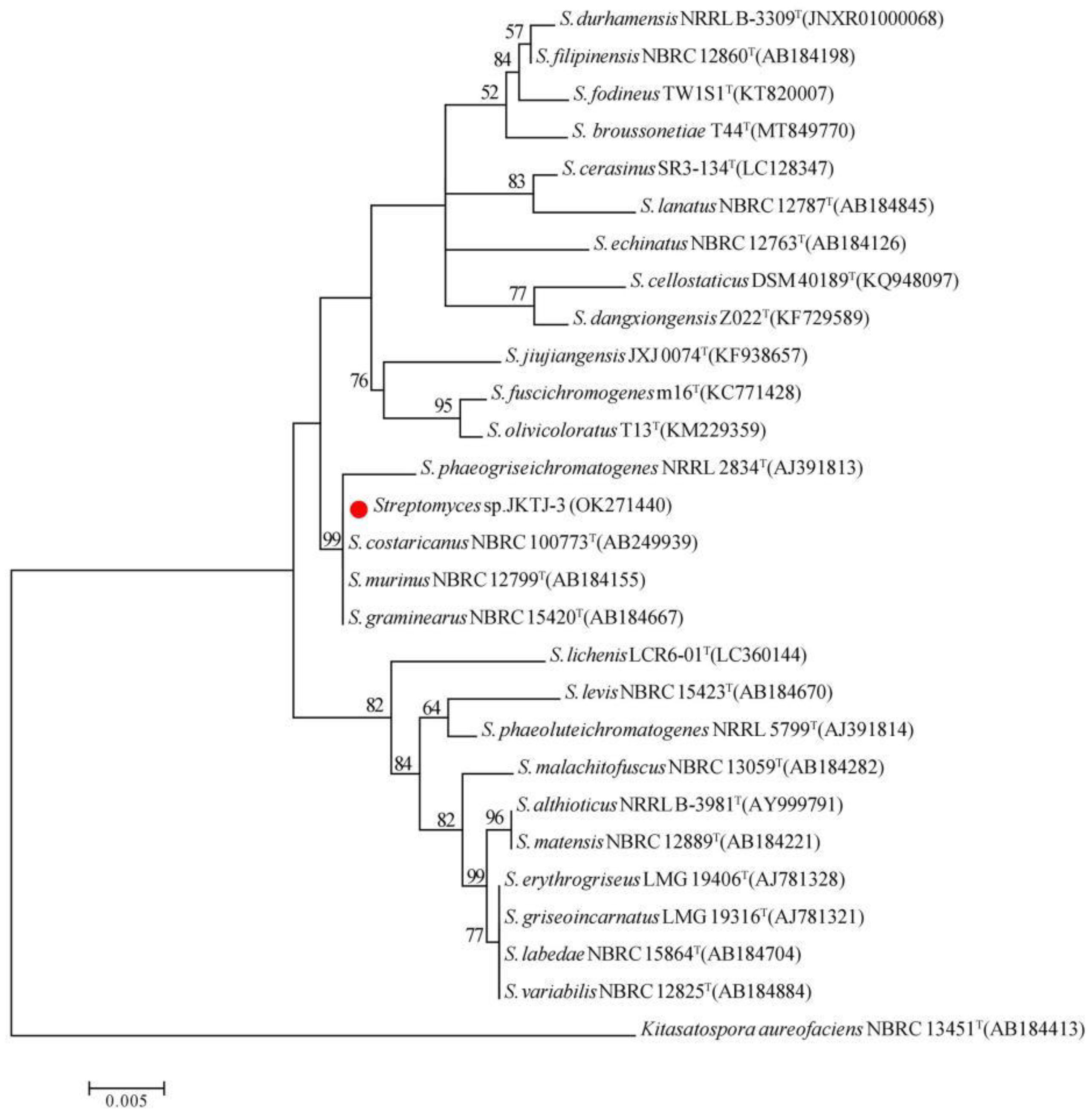 Preprints 72012 g004