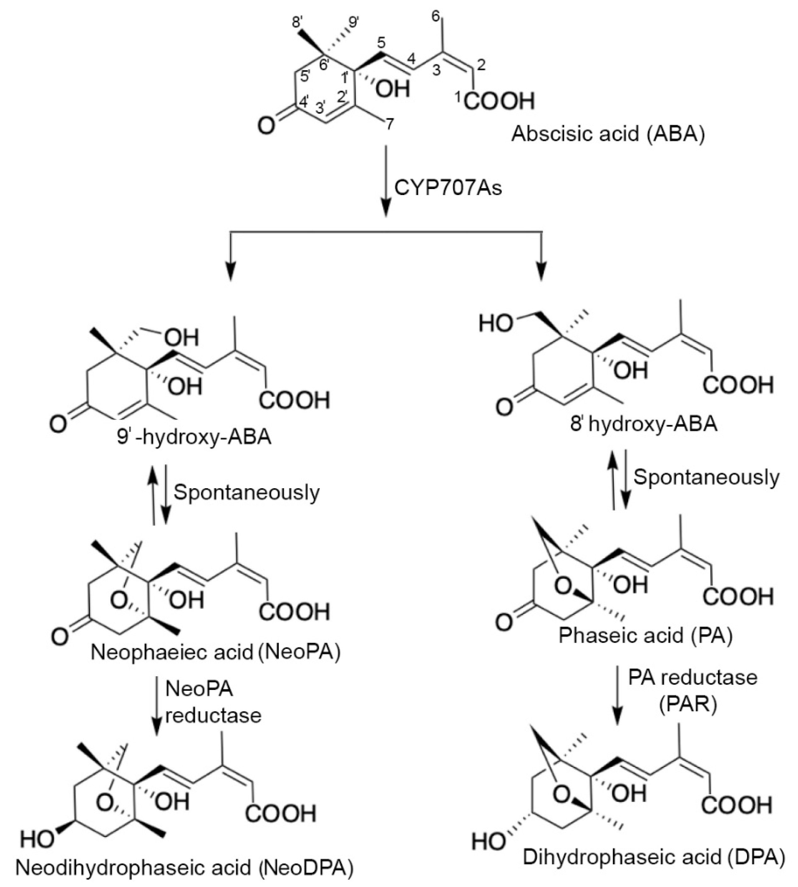 Preprints 92719 g005