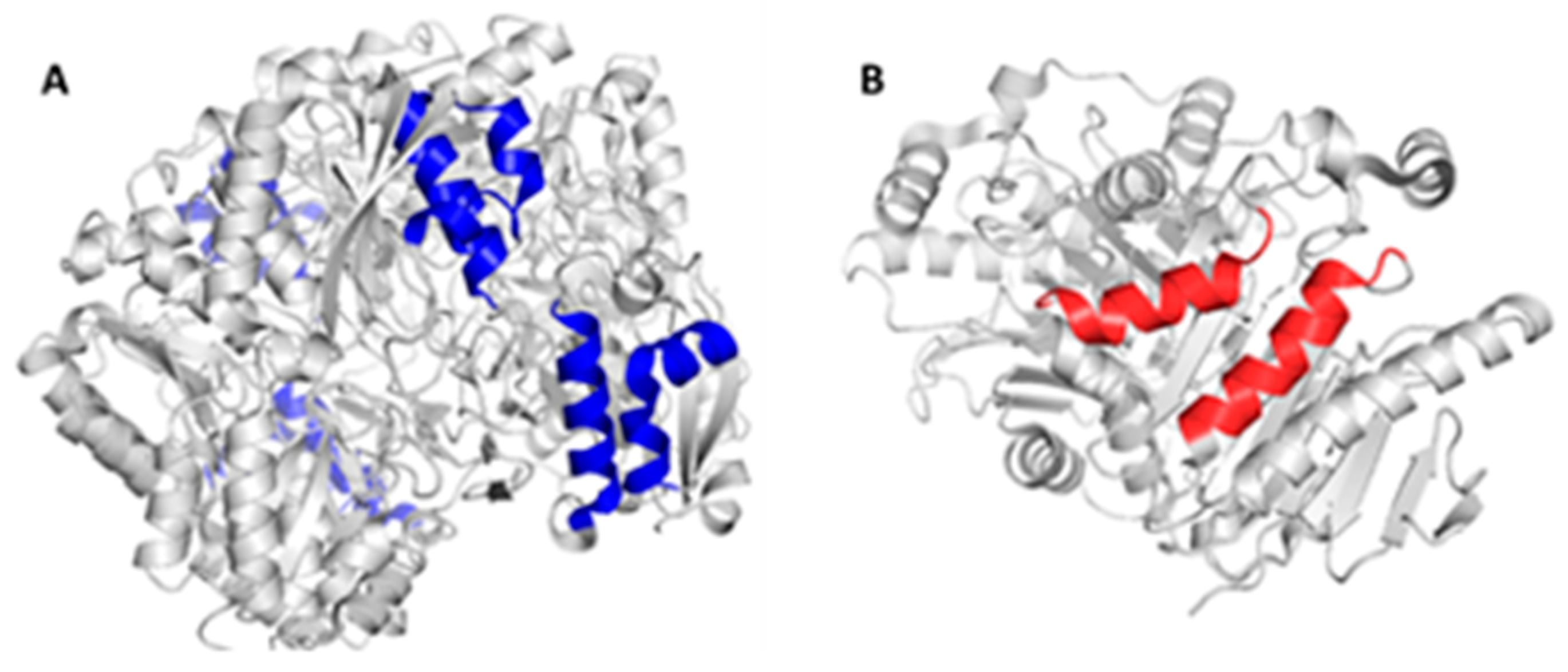 Preprints 67739 g001