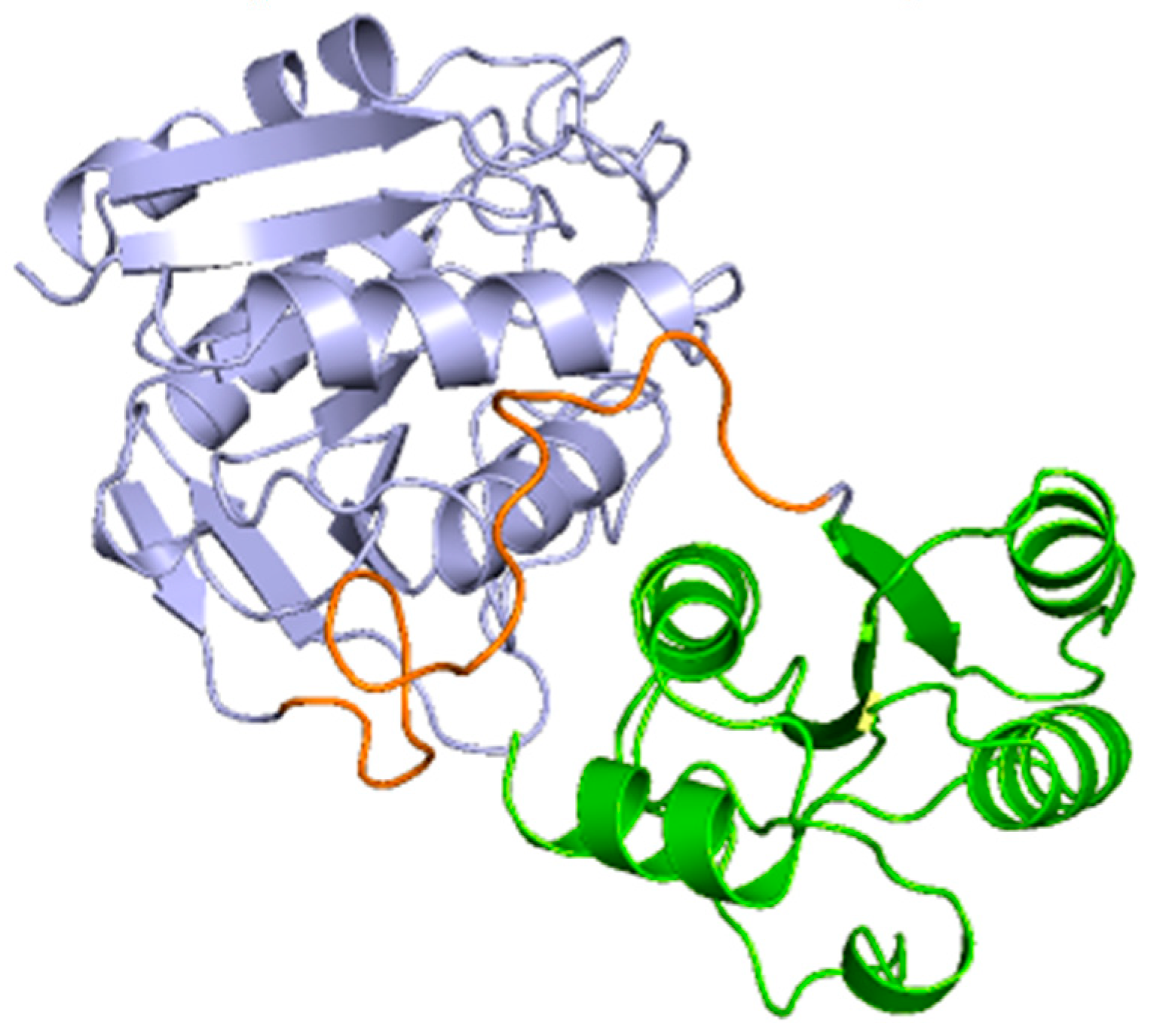 Preprints 67739 g003