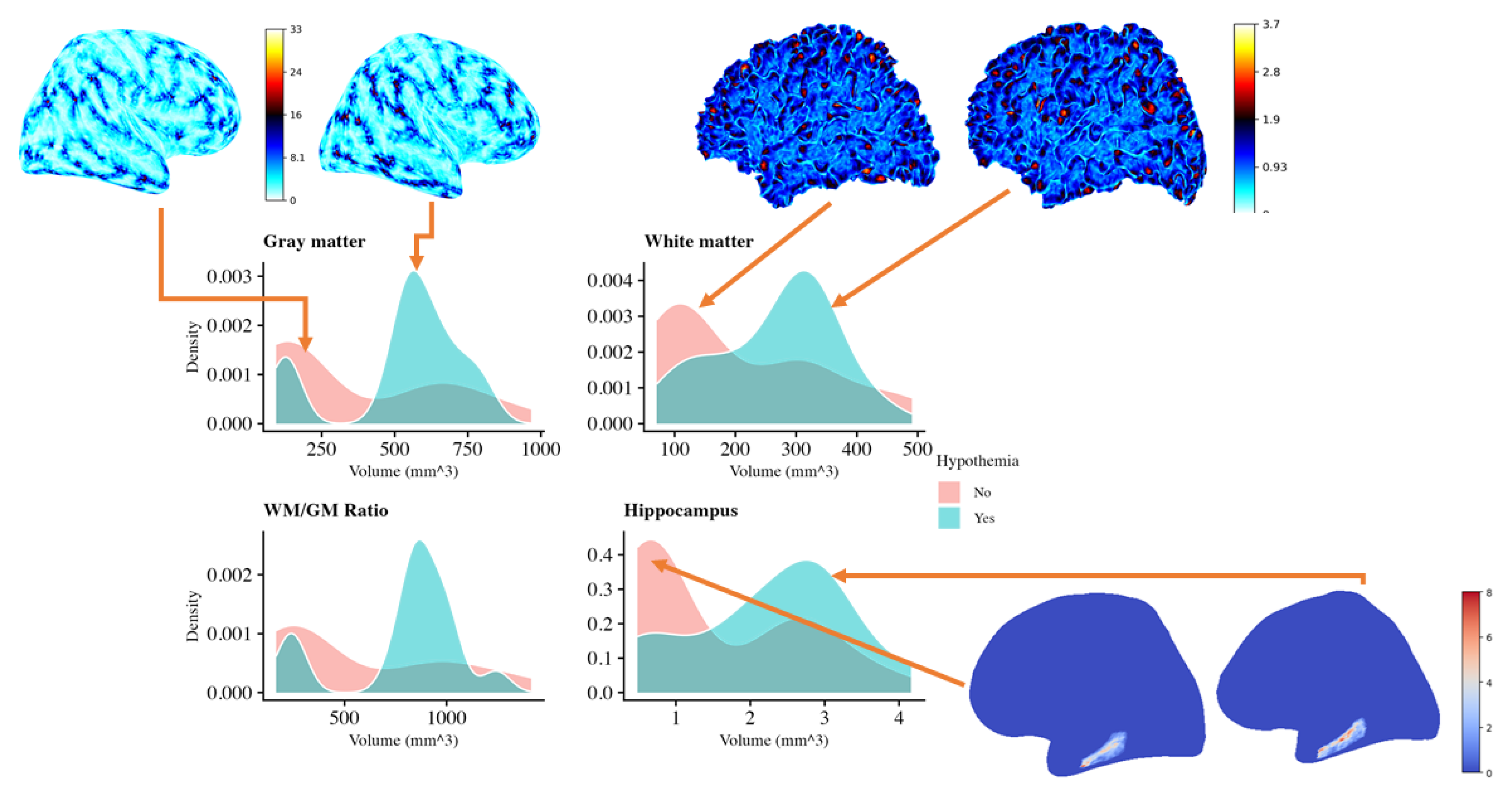 Preprints 121485 g002