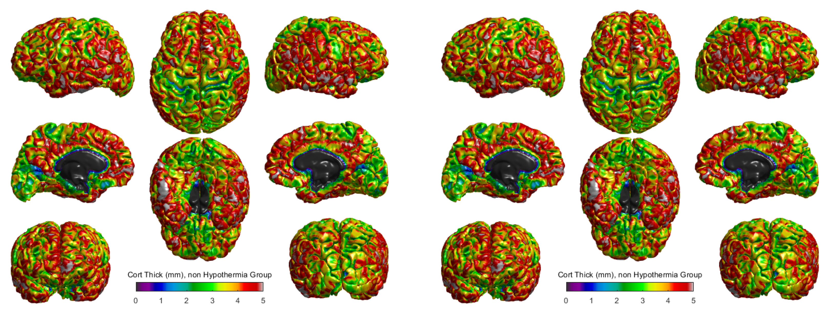 Preprints 121485 g003