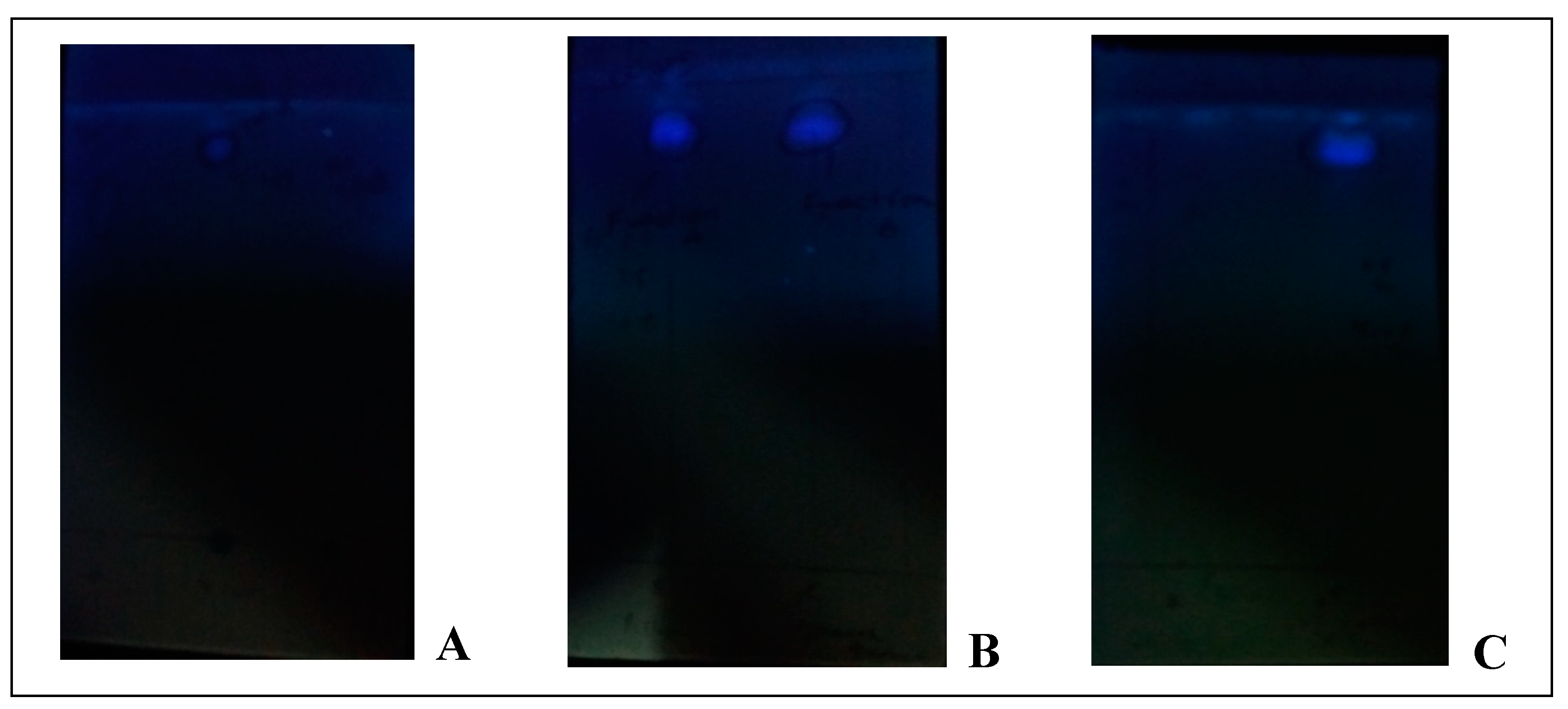 Preprints 69173 g006