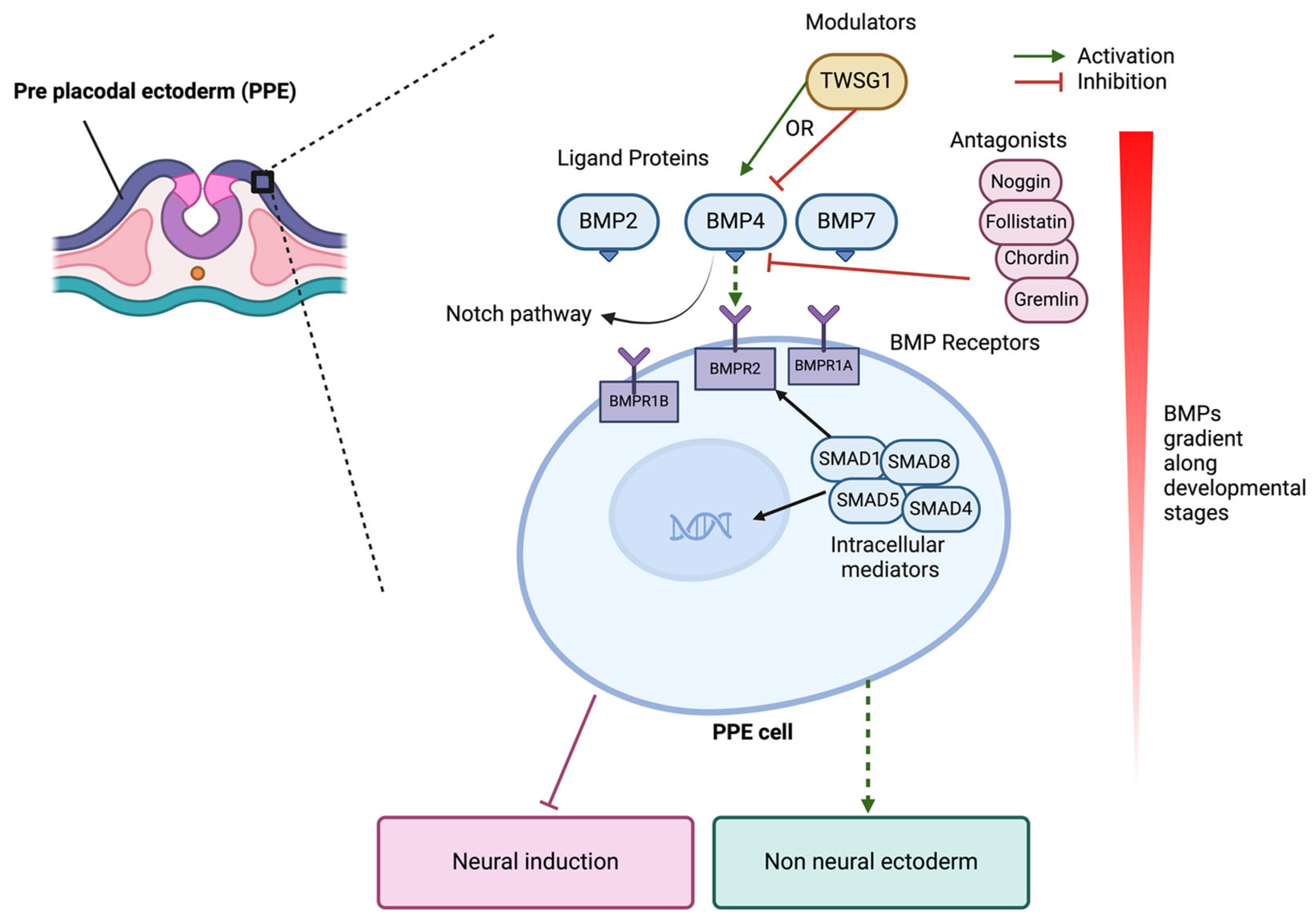 Preprints 117935 g002